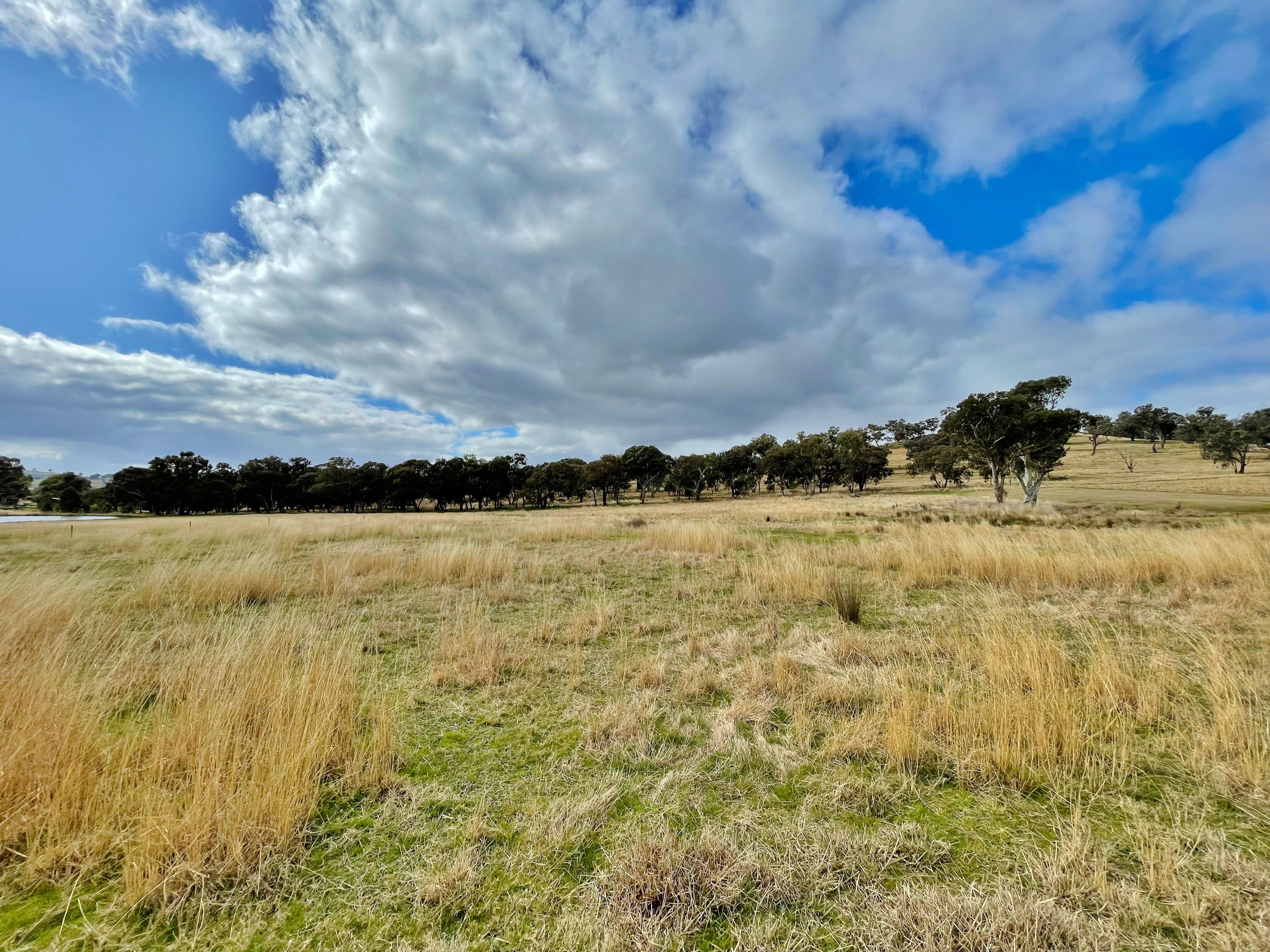 42 Dowling Dr, Murringo via, Young NSW 2594, Young - Thumbnail 6