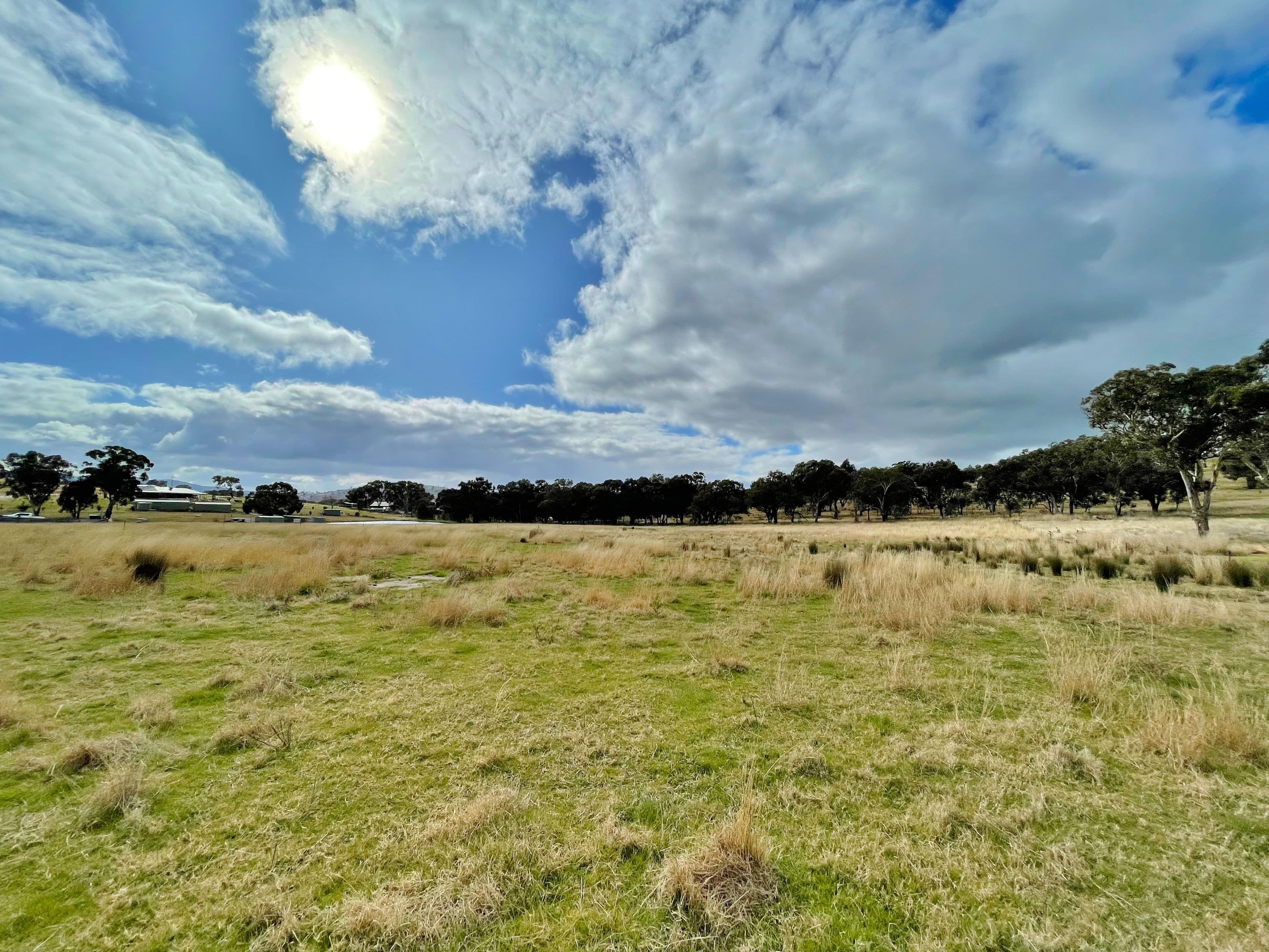 42 Dowling Dr, Murringo via, Young NSW 2594, Young - Thumbnail 7