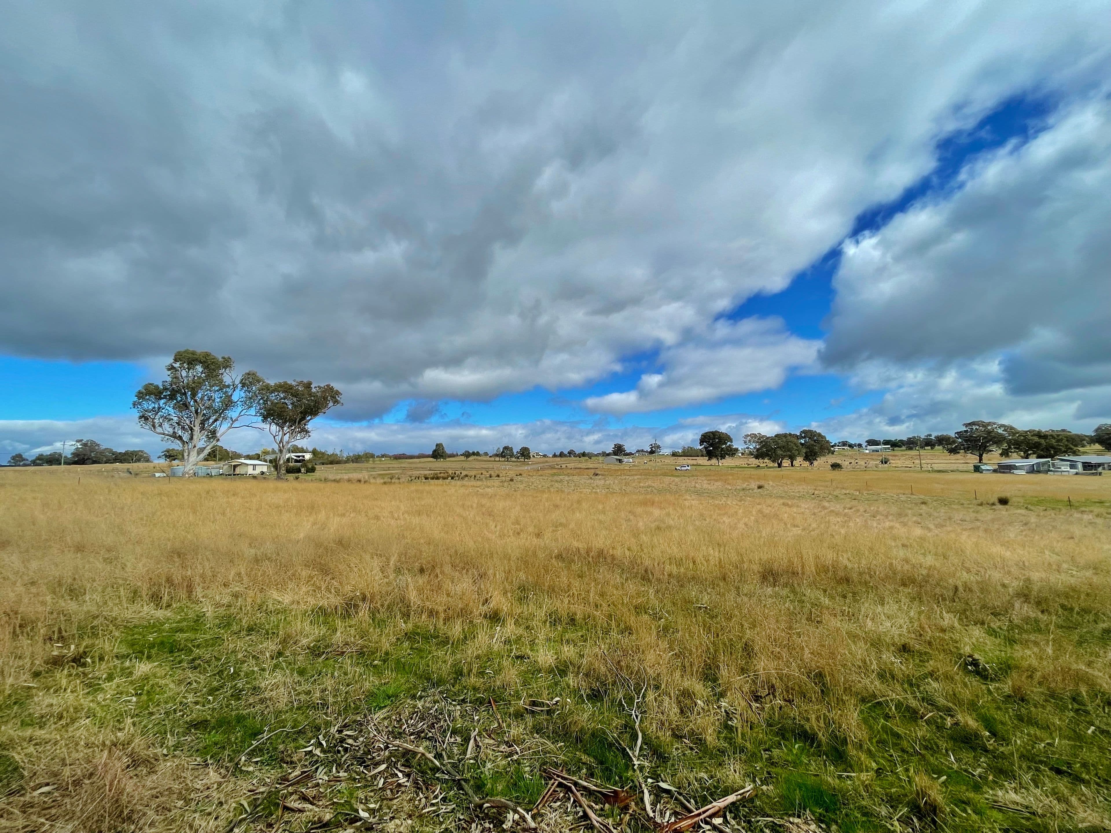 42 Dowling Dr, Murringo via, Young NSW 2594, Young - Thumbnail 8