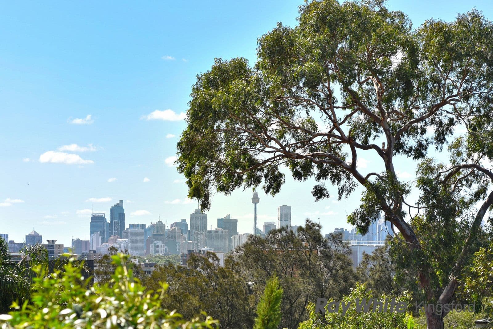89 Barker Street, Kingsford - Thumbnail 3