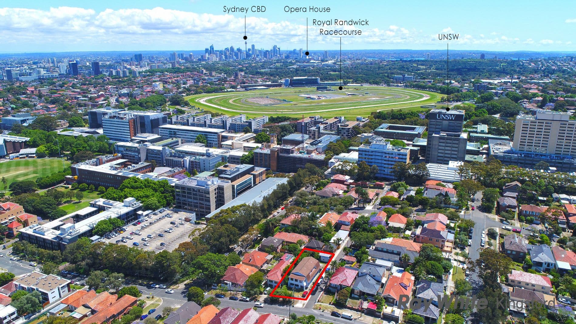 89 Barker Street, Kingsford - Thumbnail 6