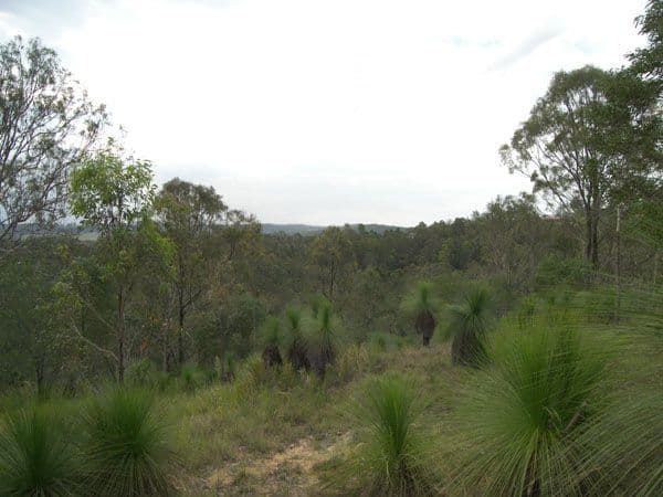 11-15 Collins Place, KOORALBYN QLD 4285, Kooralbyn - Image 1