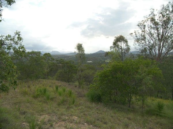 11-15 Collins Place, KOORALBYN QLD 4285, Kooralbyn - Thumbnail 2
