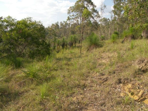 11-15 Collins Place, KOORALBYN QLD 4285, Kooralbyn - Thumbnail 3