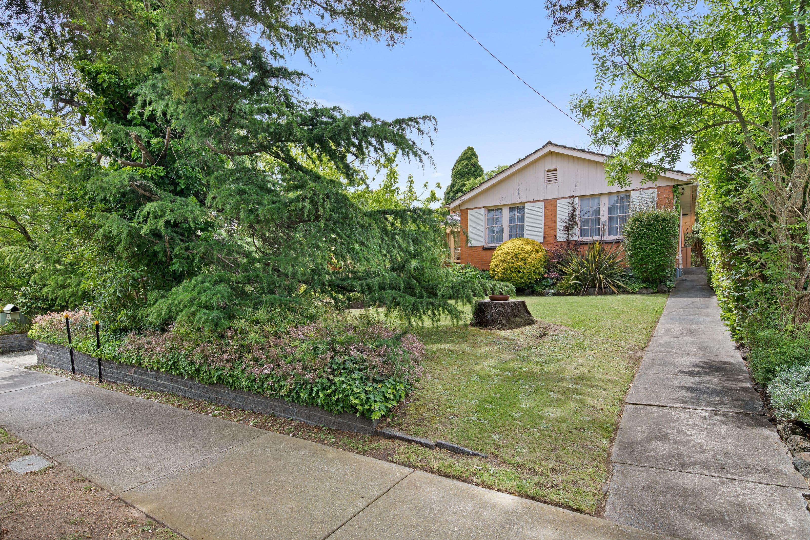 12 Burramine Road, Glen Waverley VIC 3150, Glen Waverley - Thumbnail 3