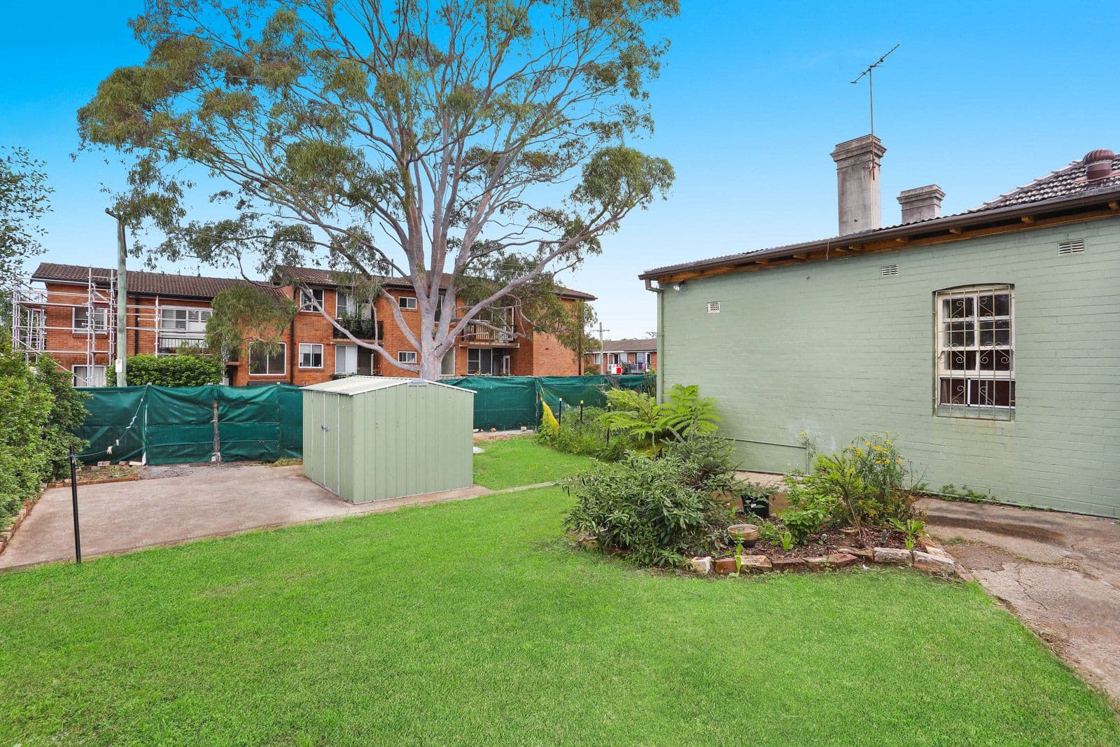 20 Helena Street, Lilyfield NSW 2040, Lilyfield - Thumbnail 4