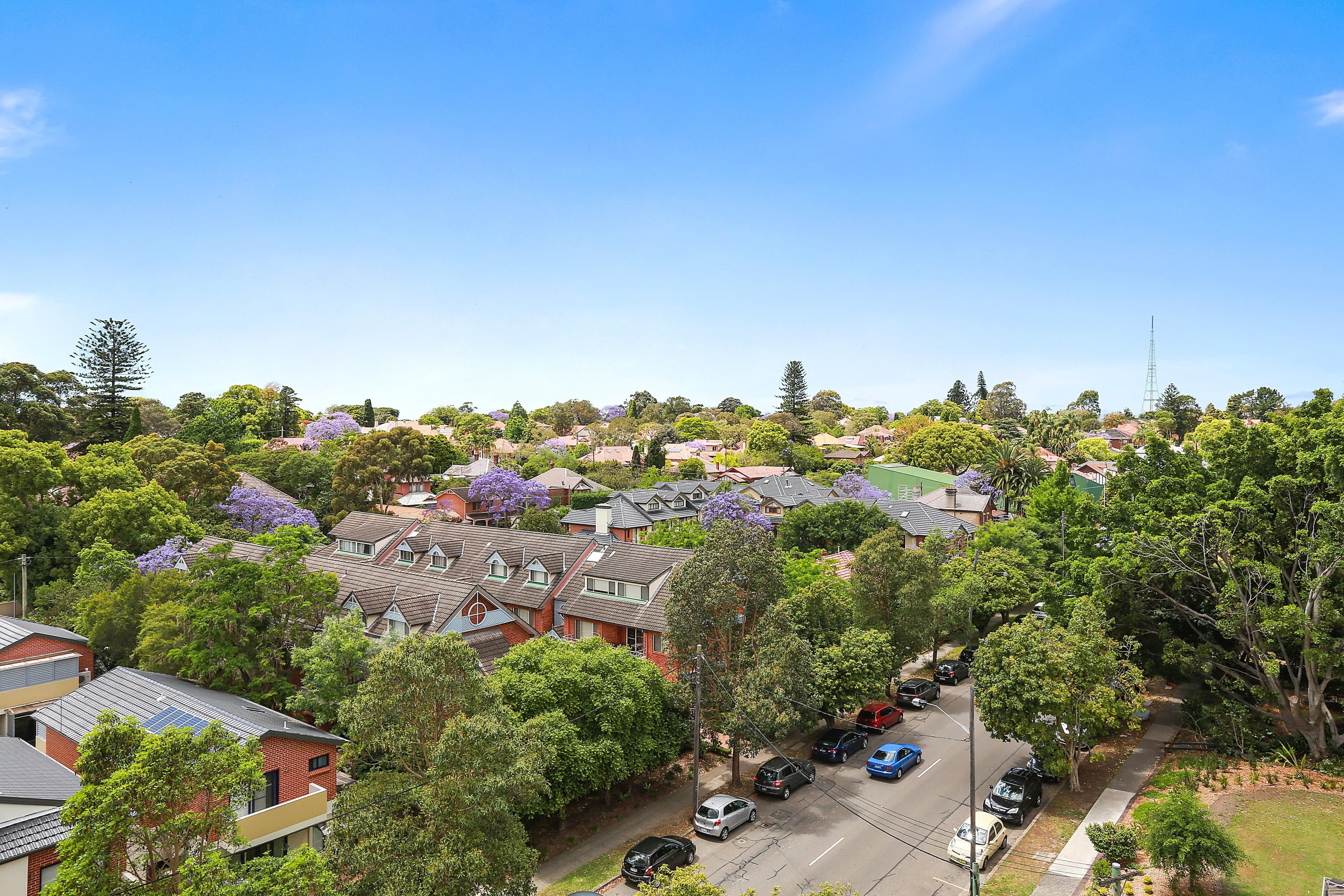 46 Archer Street, Chatswood NSW 2067, Chatswood - Thumbnail 3
