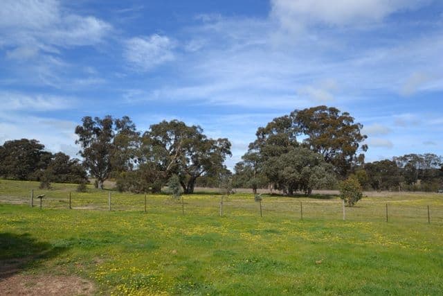 975 Seymour-Pyalong Road, SEYMOUR VIC 3660, Seymour - Thumbnail 6