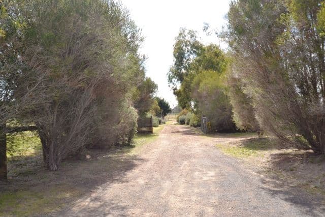 975 Seymour-Pyalong Road, SEYMOUR VIC 3660, Seymour - Thumbnail 7