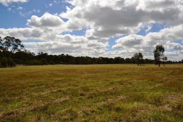 975 Seymour-Pyalong Road, SEYMOUR VIC 3660, Seymour - Thumbnail 8