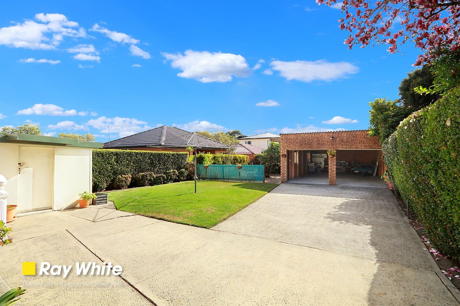 123 Permanent Avenue, Earlwood NSW 2206, Earlwood - Thumbnail 3