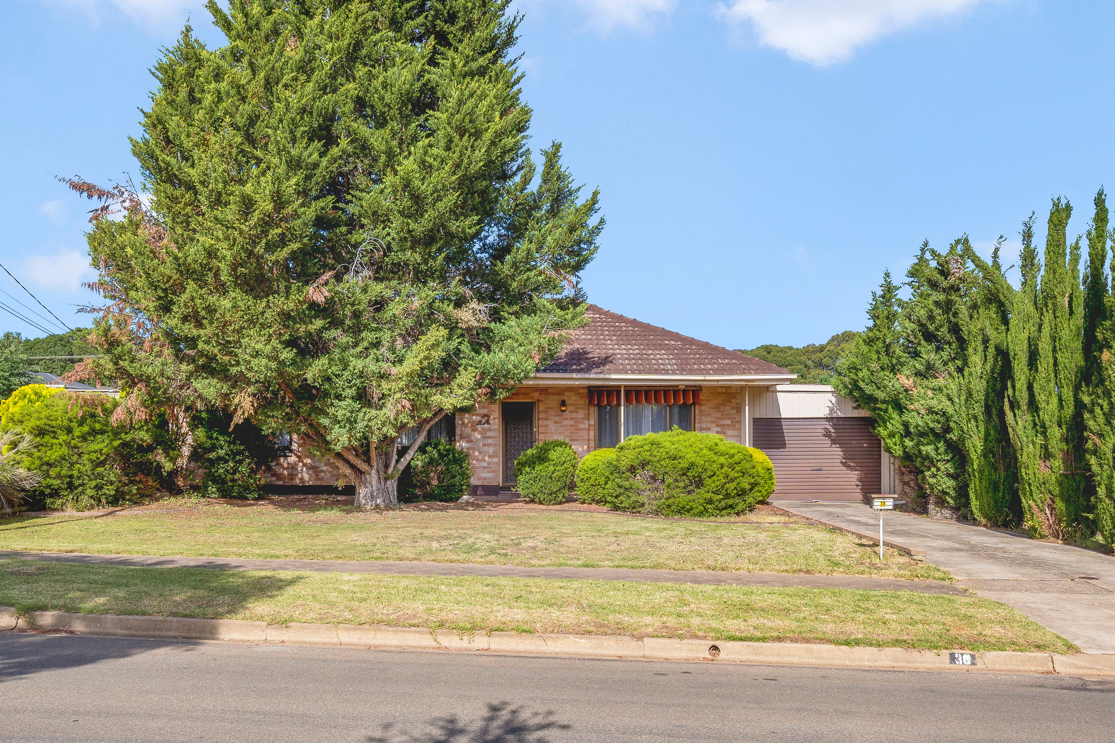 38 Charmaine Avenue, Para Vista SA 5093, Para Vista - Thumbnail 4