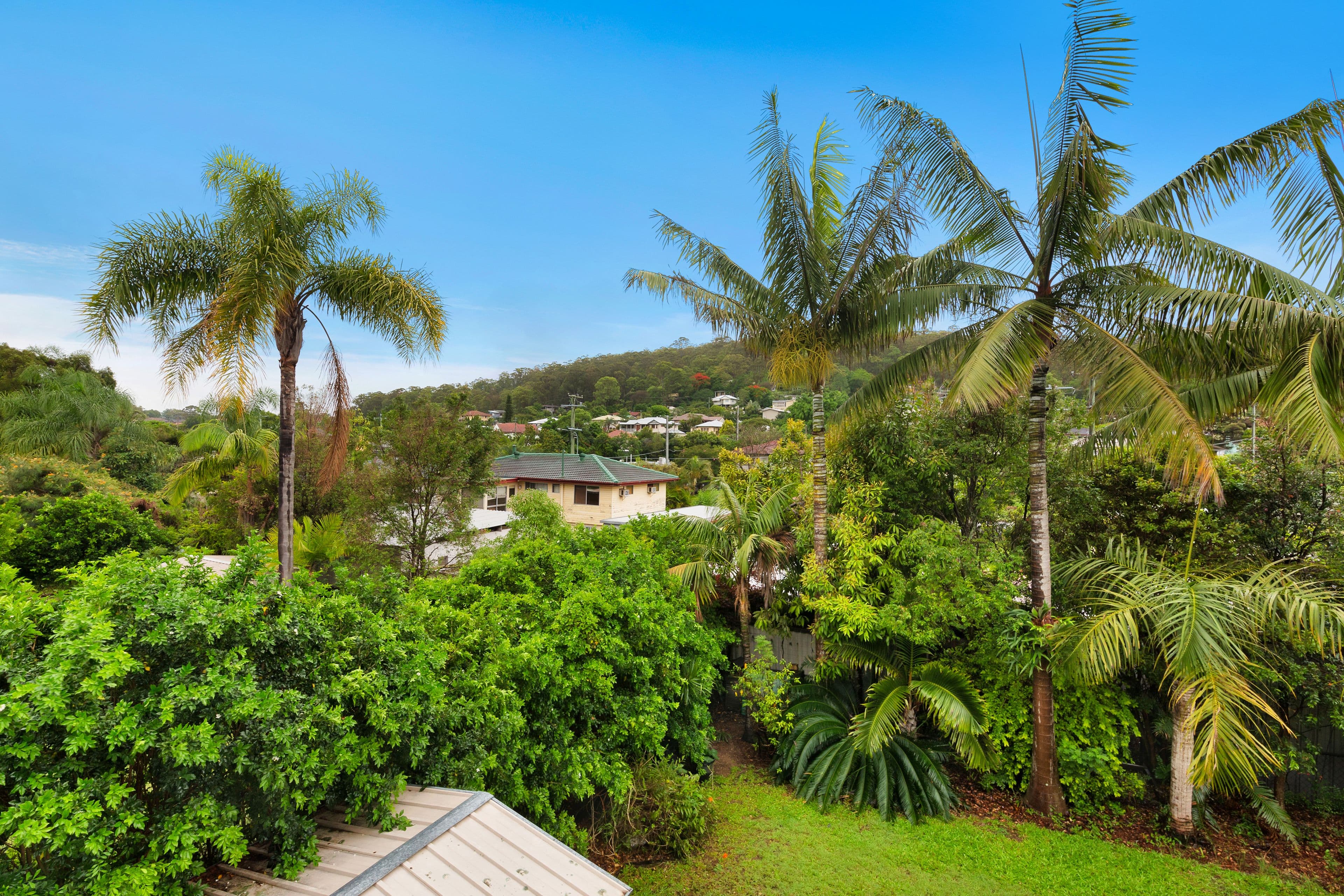 141 Fegen Drive, Moorooka QLD 4105, Moorooka - Thumbnail 3