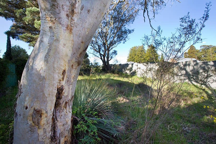 Lot 10 Ailsa Street, MOUNT VICTORIA NSW 2786, Mount Victoria - Thumbnail 2