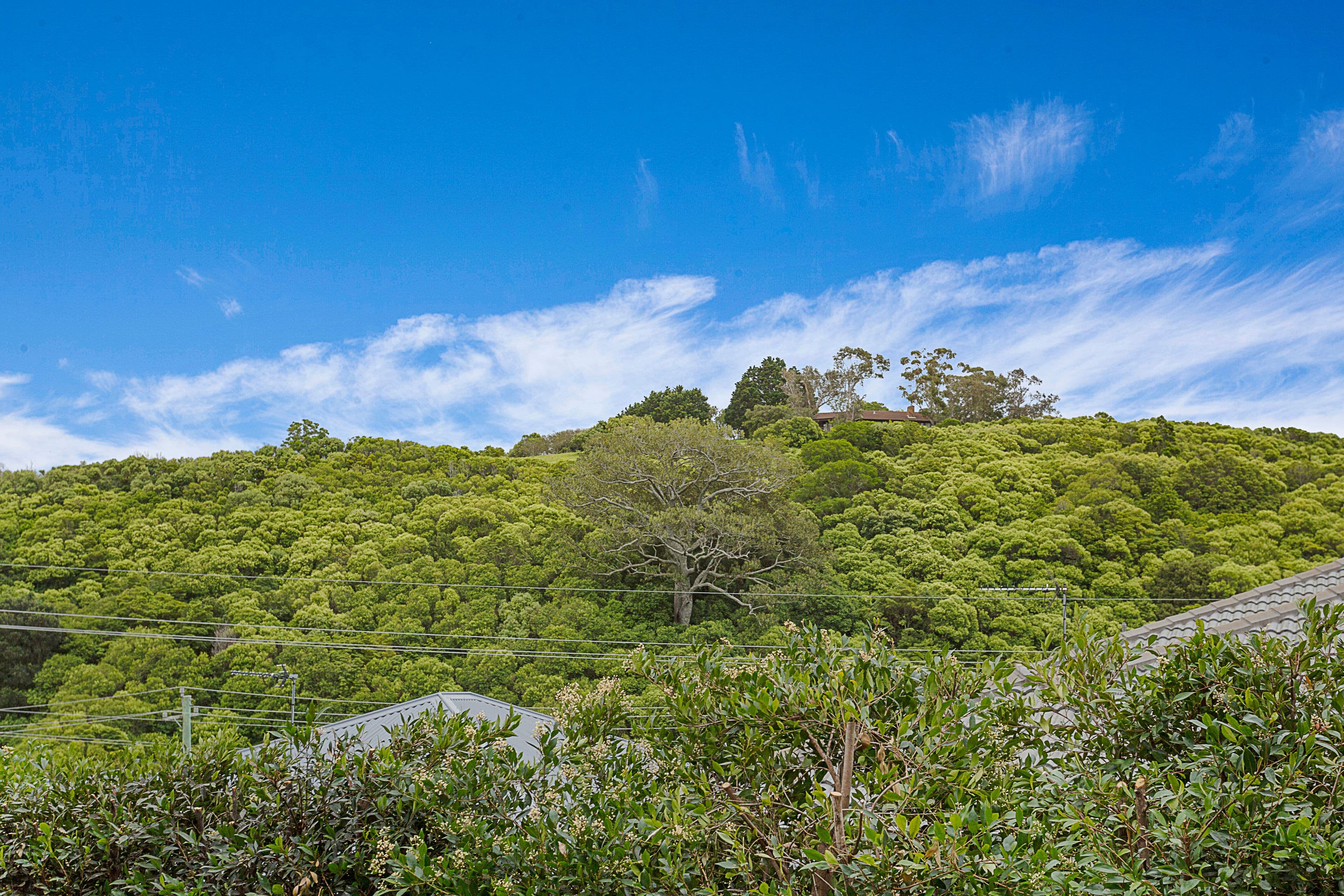 32 Lilly Pilly Way, Kiama - Thumbnail 7