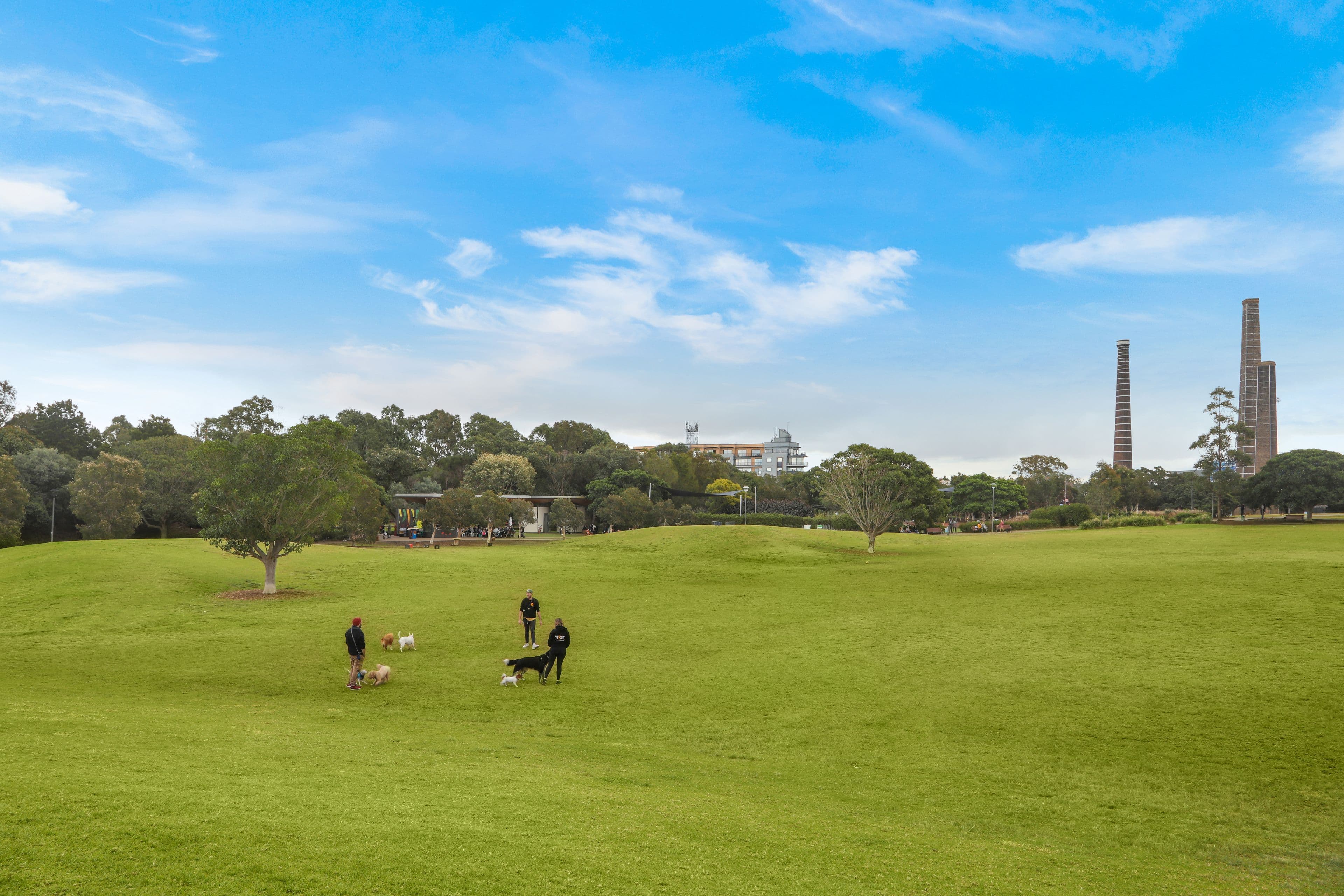 17 Lord Street, Newtown NSW 2042, Newtown - Thumbnail 8