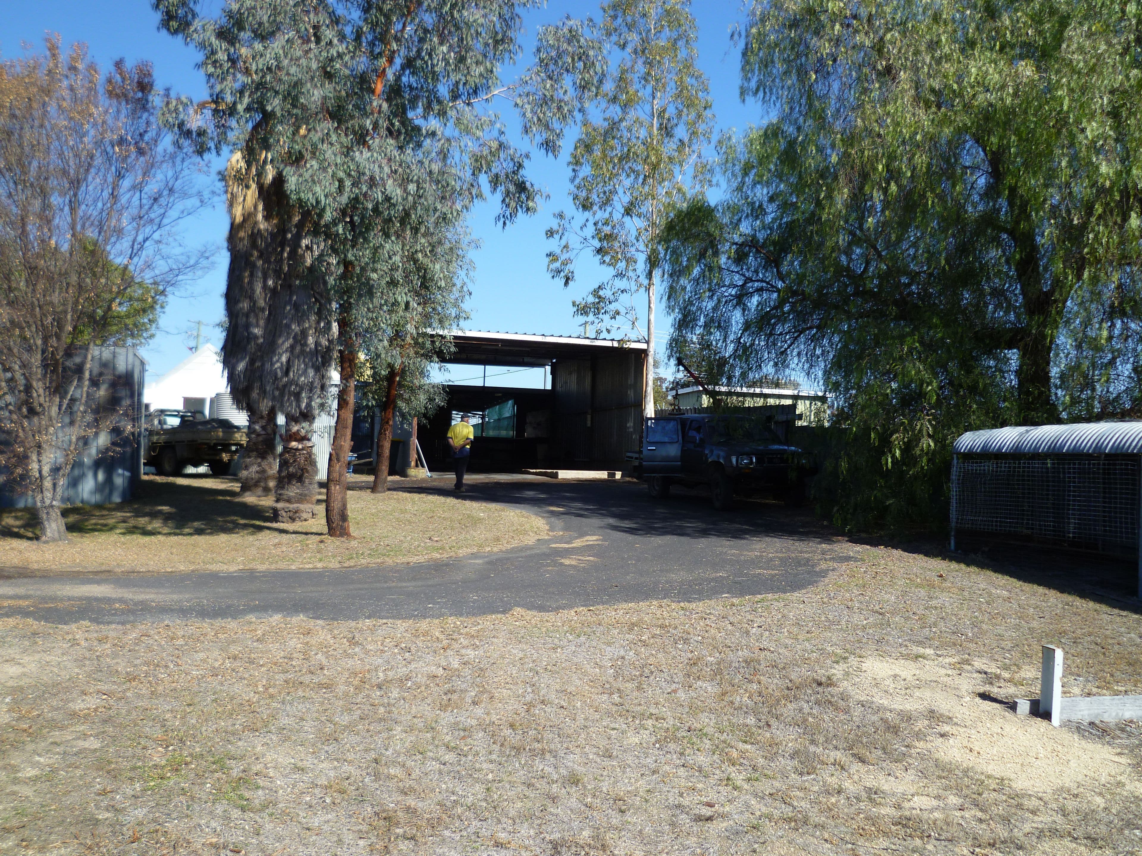 48 Martyn Street, Ashford NSW 2361, Ashford - Thumbnail 4