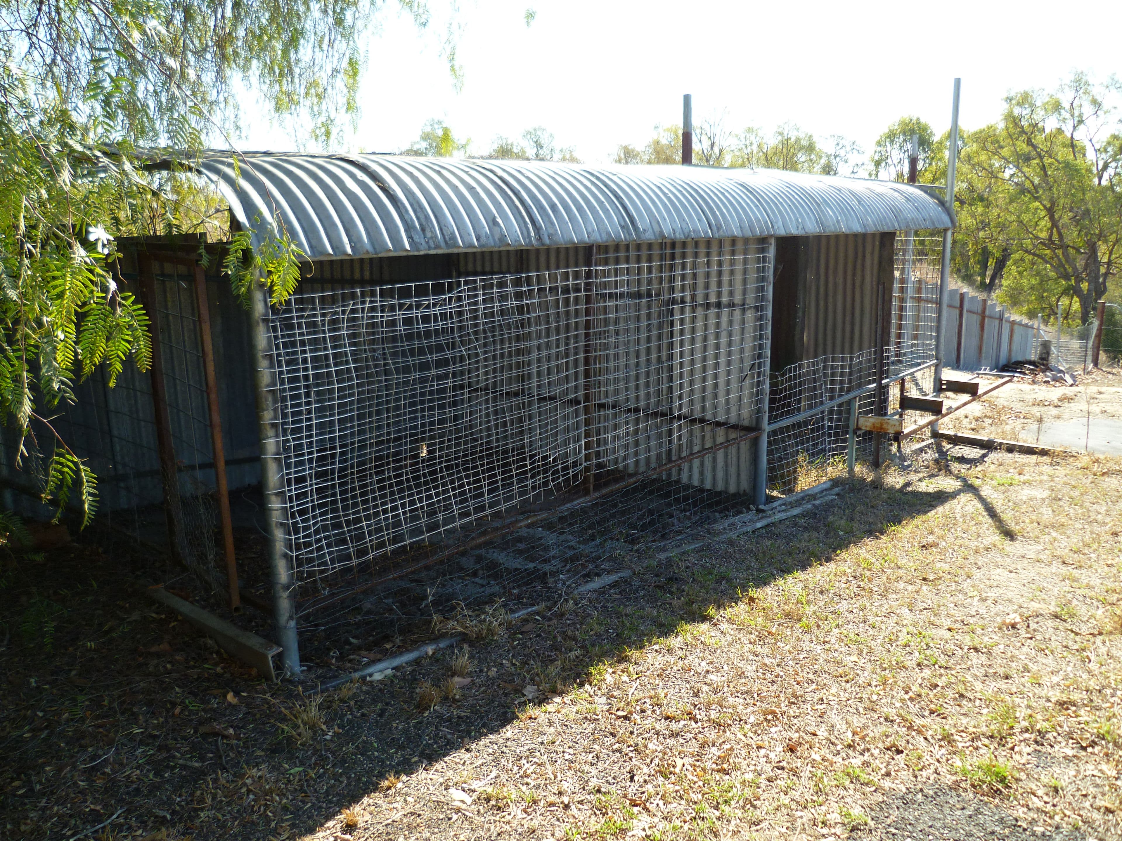 48 Martyn Street, Ashford NSW 2361, Ashford - Thumbnail 5