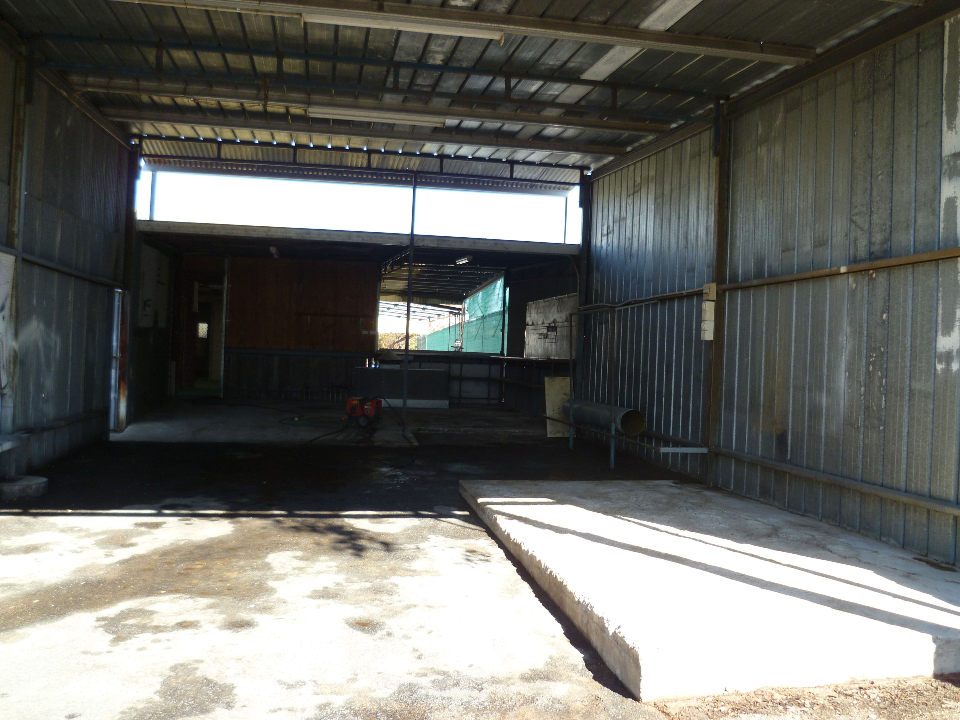 48 Martyn Street, Ashford NSW 2361, Ashford - Thumbnail 6