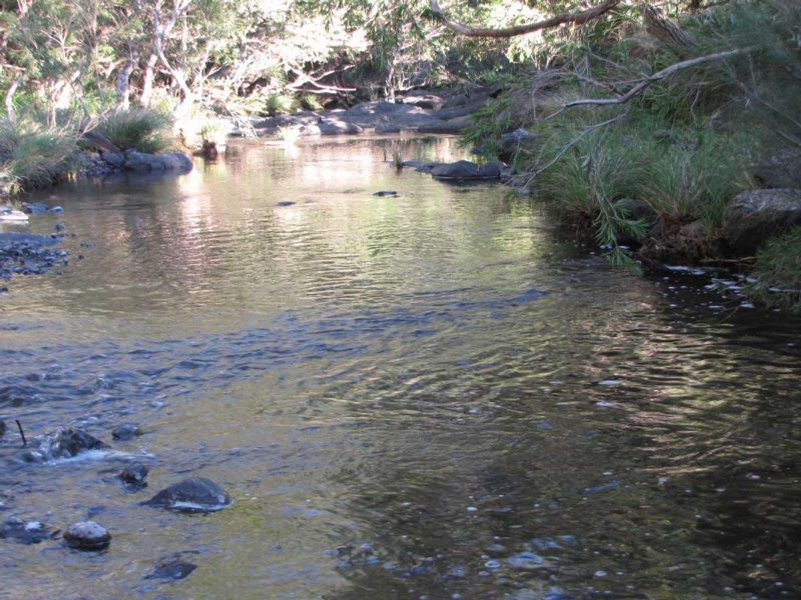 Yongurra Road, Kyogle - Thumbnail 4