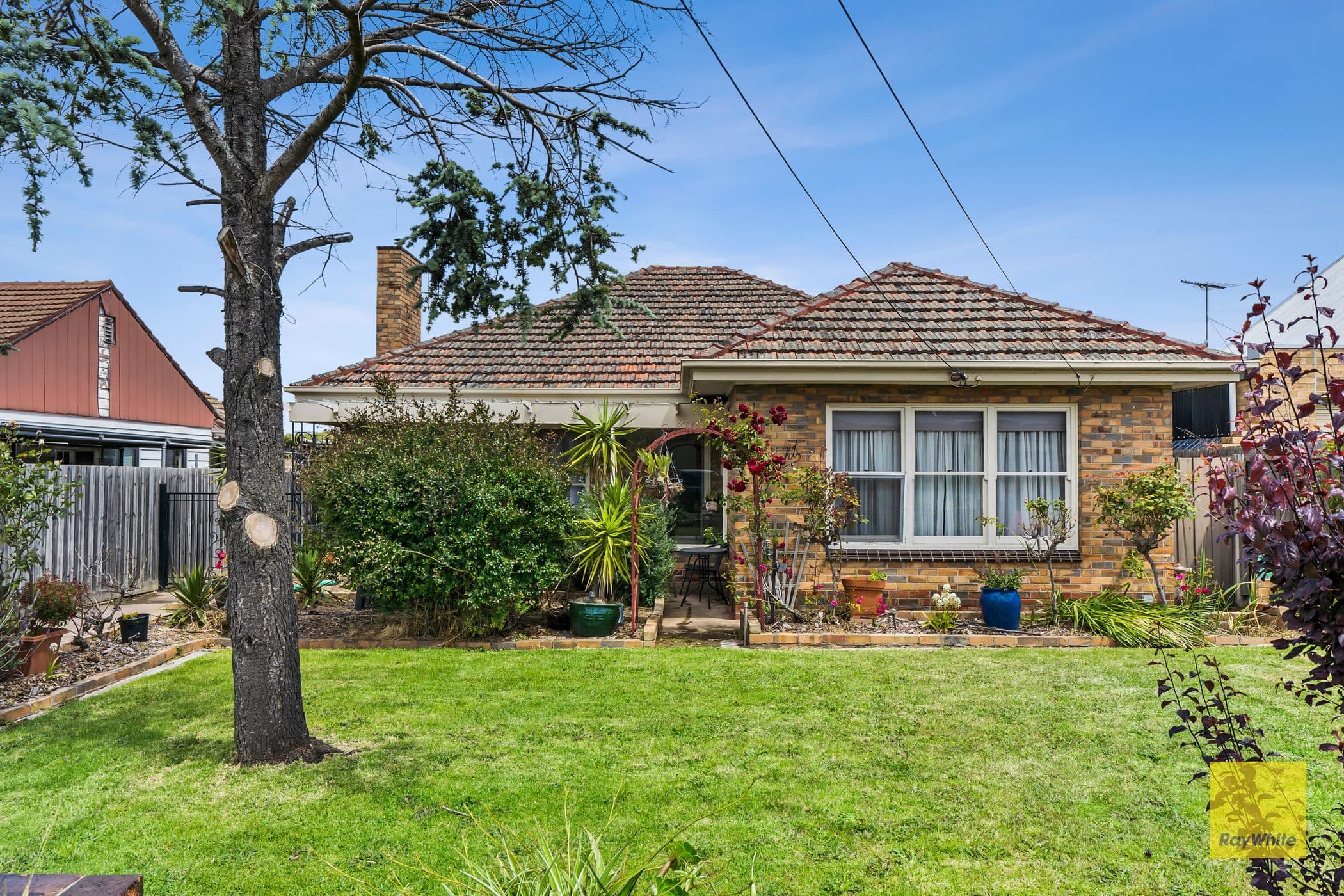 8 Dorothy Avenue, Belmont VIC 3216, Belmont - Image 1