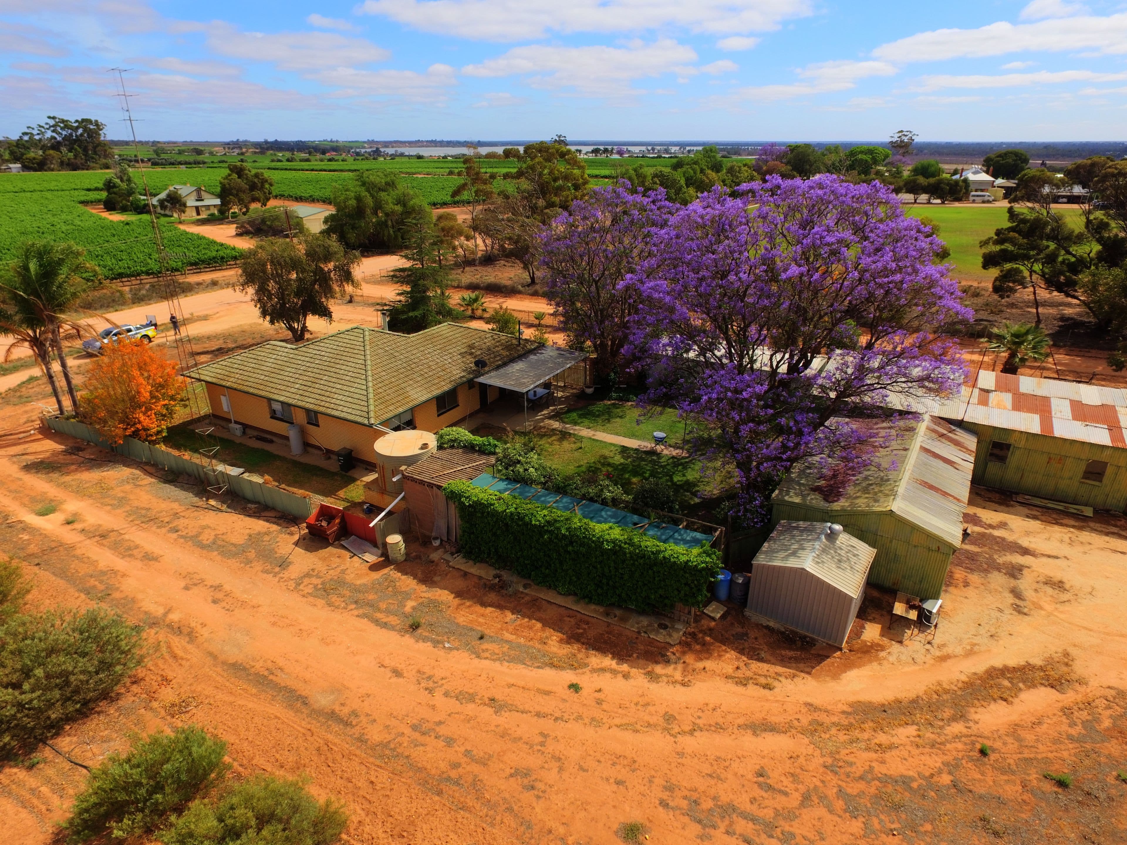 109 Wachtel Road, Moorook SA 5332, Moorook - Thumbnail 5