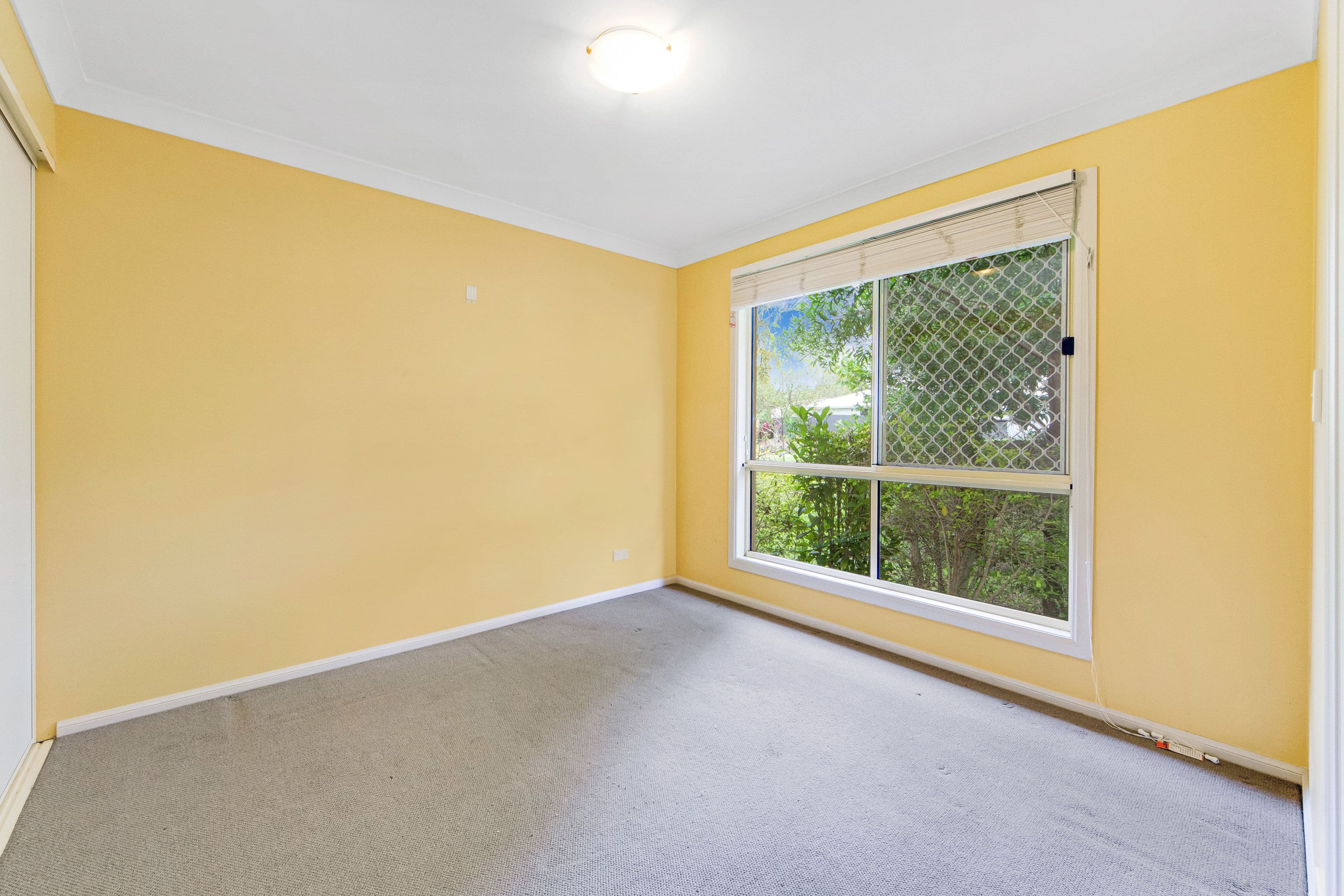 3 Peter Mills Drive, Gilston QLD 4211, Gilston - Thumbnail 8