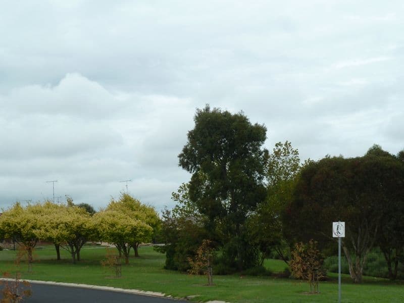21 Parkway Avenue, MOUNT GAMBIER SA 5290, Mount Gambier - Thumbnail 3