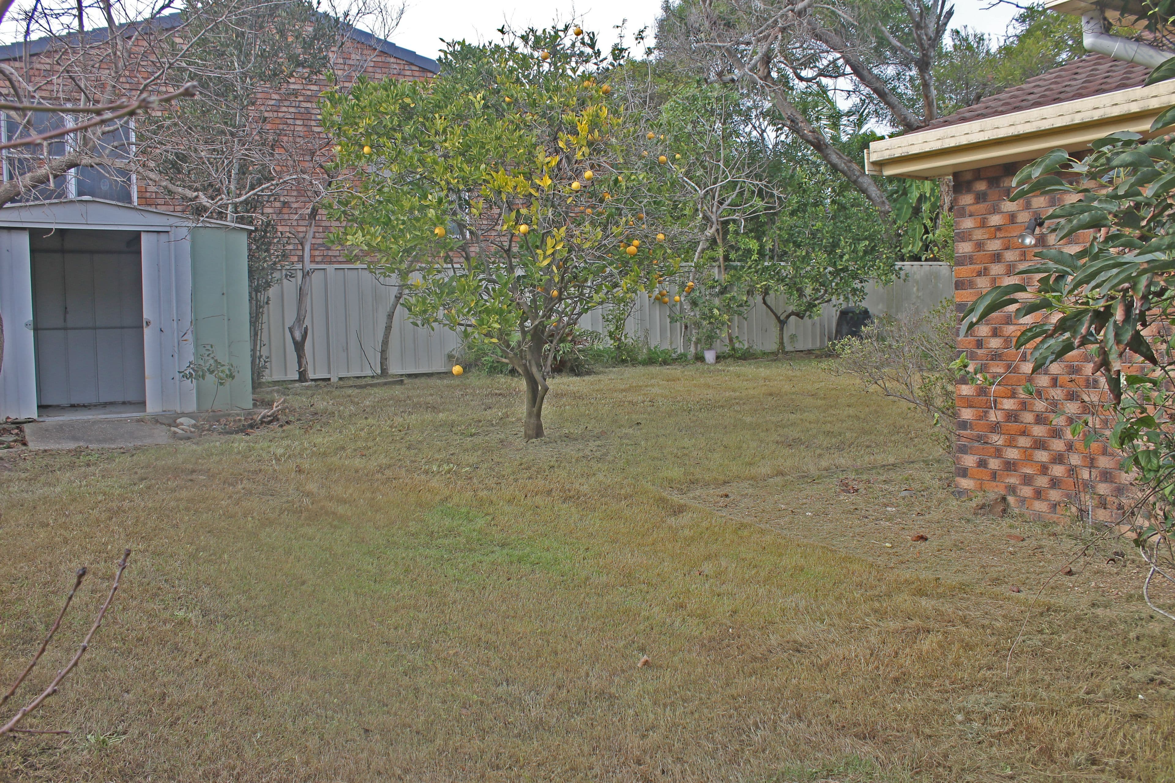 10 Miala Street, Lake Cathie - Thumbnail 6