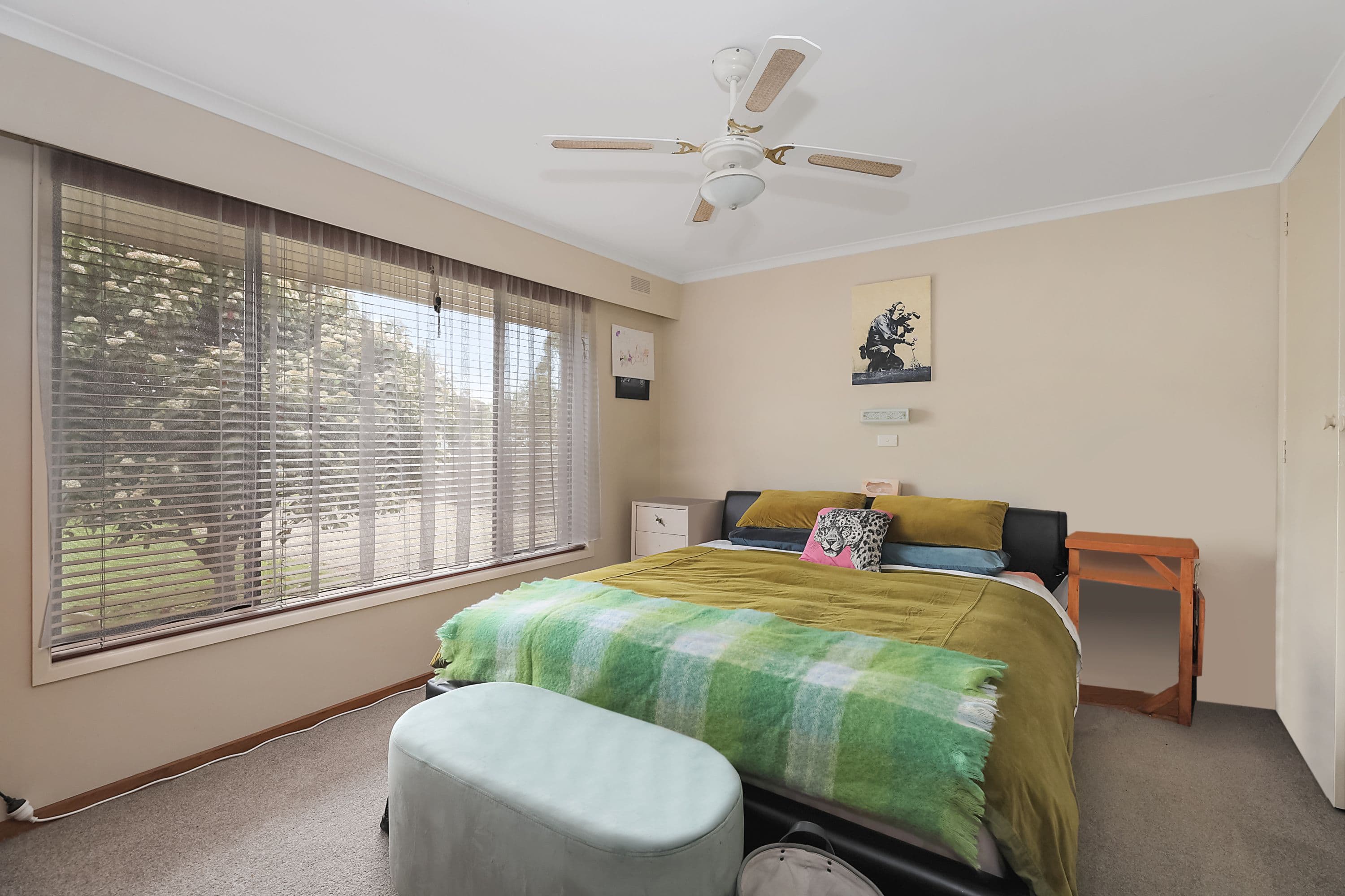 59 Barry Street, Birregurra VIC 3242, Birregurra - Thumbnail 7