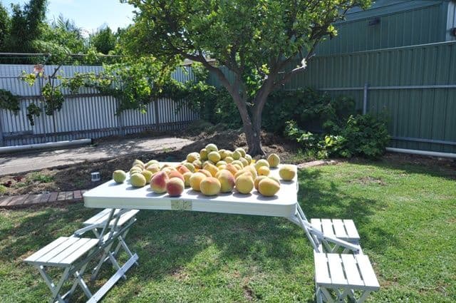 31 Butterworth Road, Aldinga Beach SA 5173, Aldinga Beach - Thumbnail 5