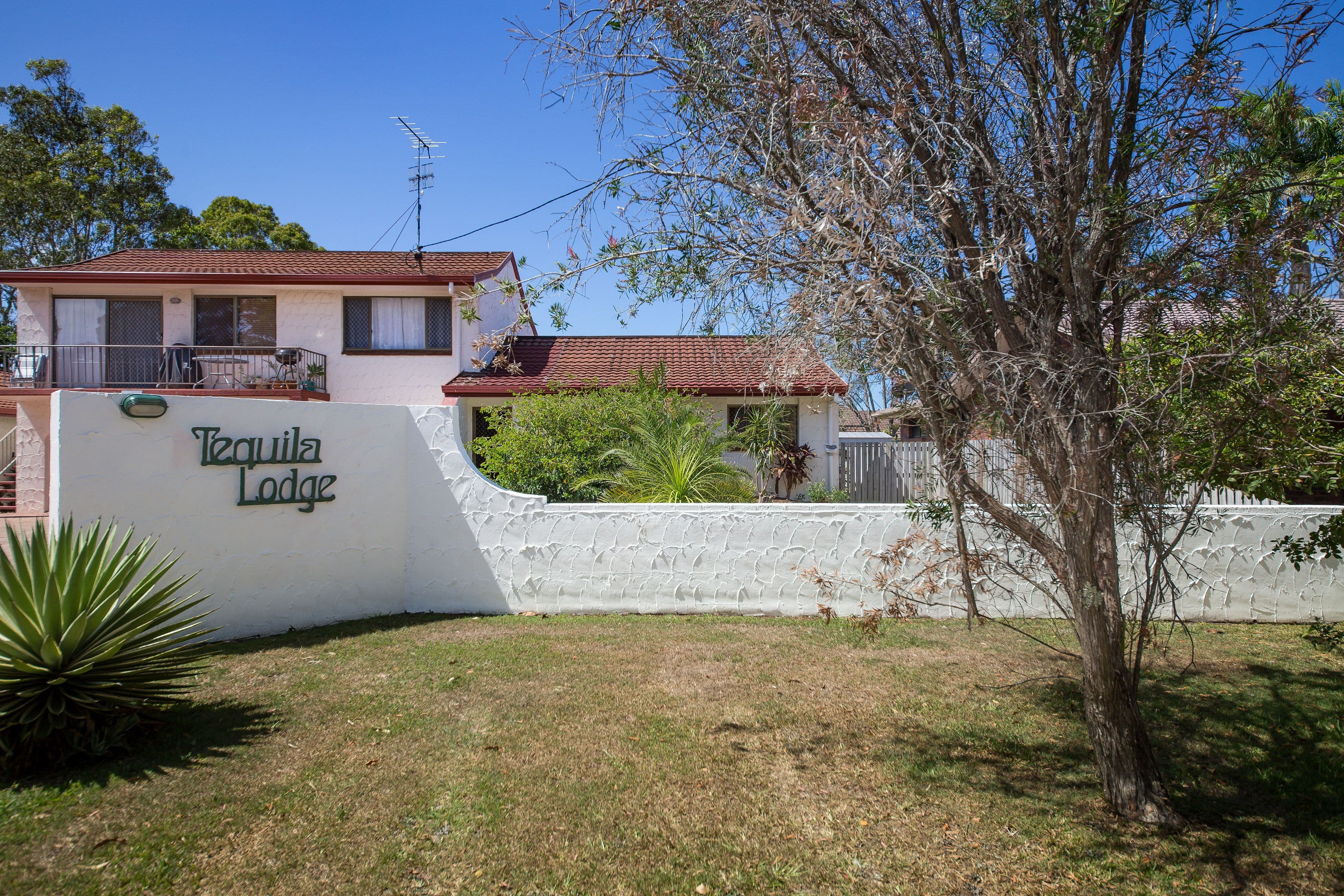 53 Boongala Terrace, Maroochydore QLD 4558, Maroochydore - Thumbnail 2