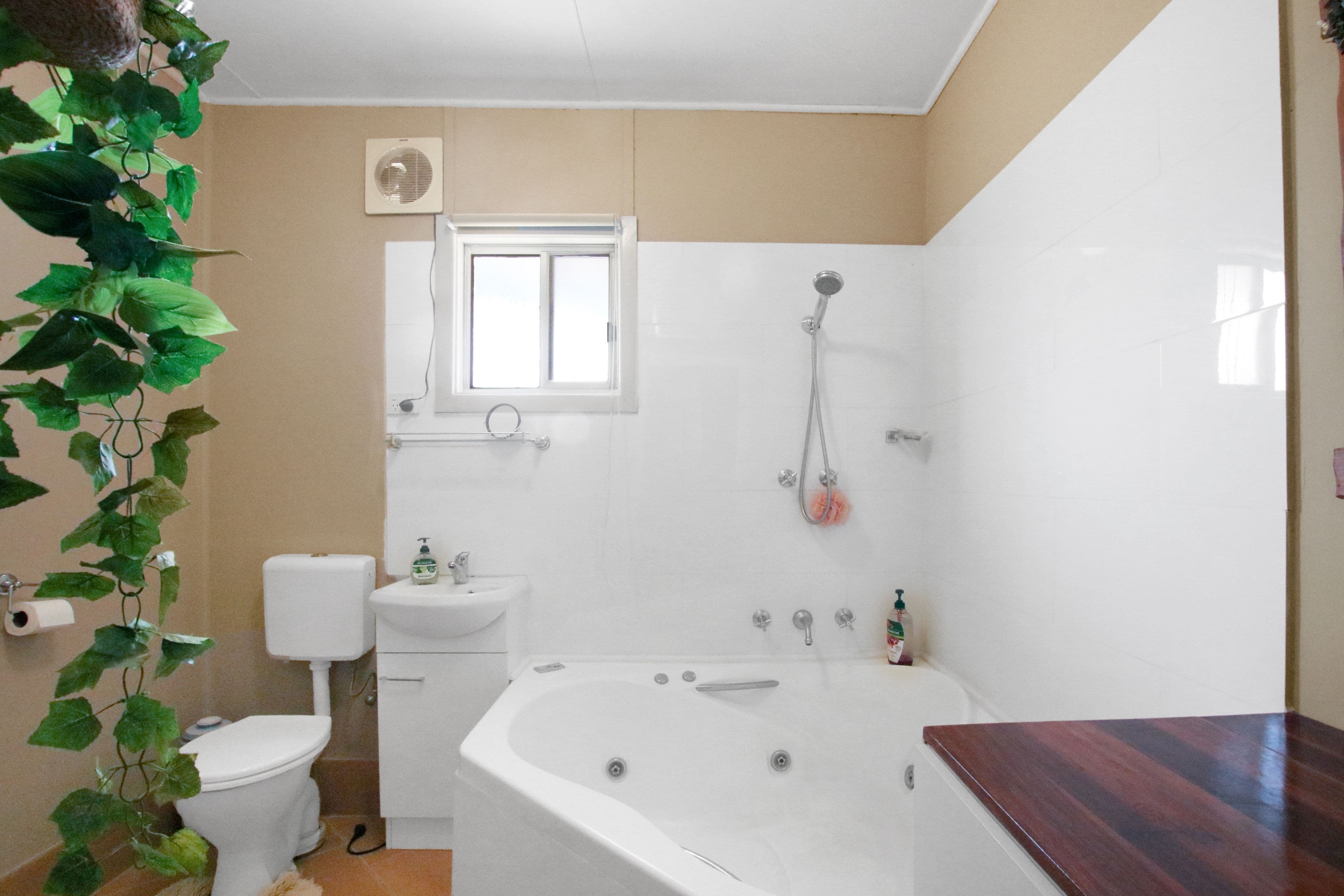 25 Gouge Street, Morgan SA 5320, Morgan - Thumbnail 8