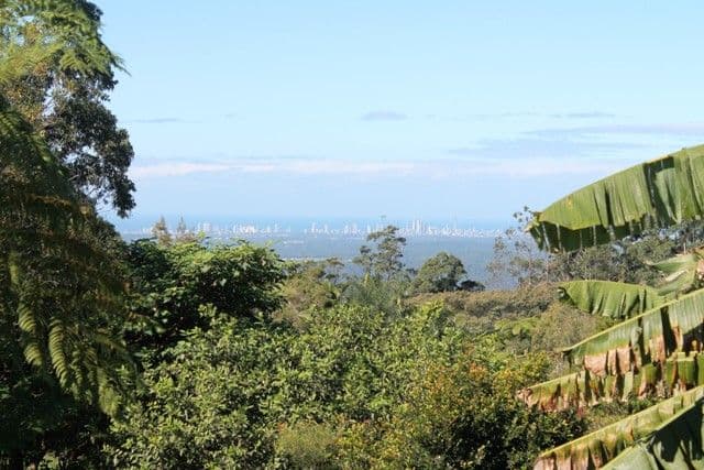21 St James Court, Tamborine Mountain QLD 4272, Tamborine Mountain - Thumbnail 3