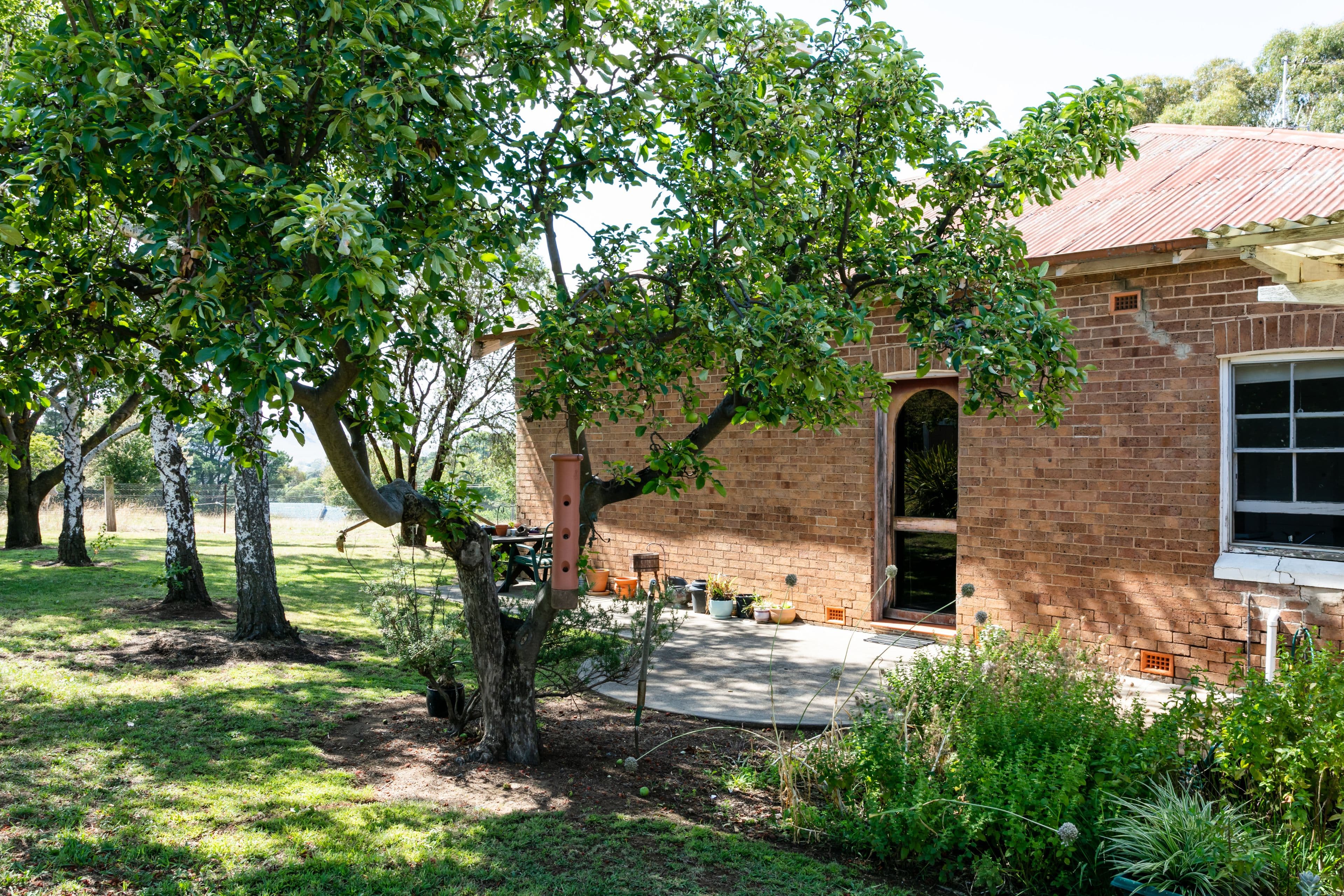 193 Ophir Road, Orange - Thumbnail 4