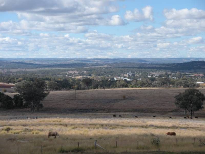 50 Kookaburra Lane, INVERELL NSW 2360, Inverell - Thumbnail 6
