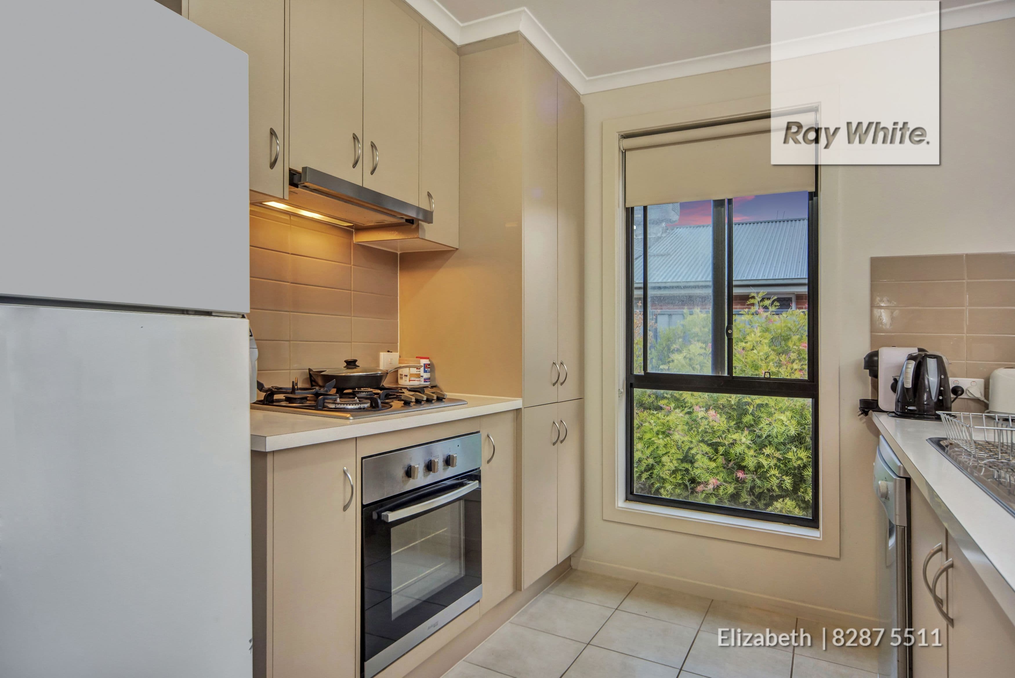 17 Riesling Crescent, Andrews Farm SA 5114, Andrews Farm - Thumbnail 6