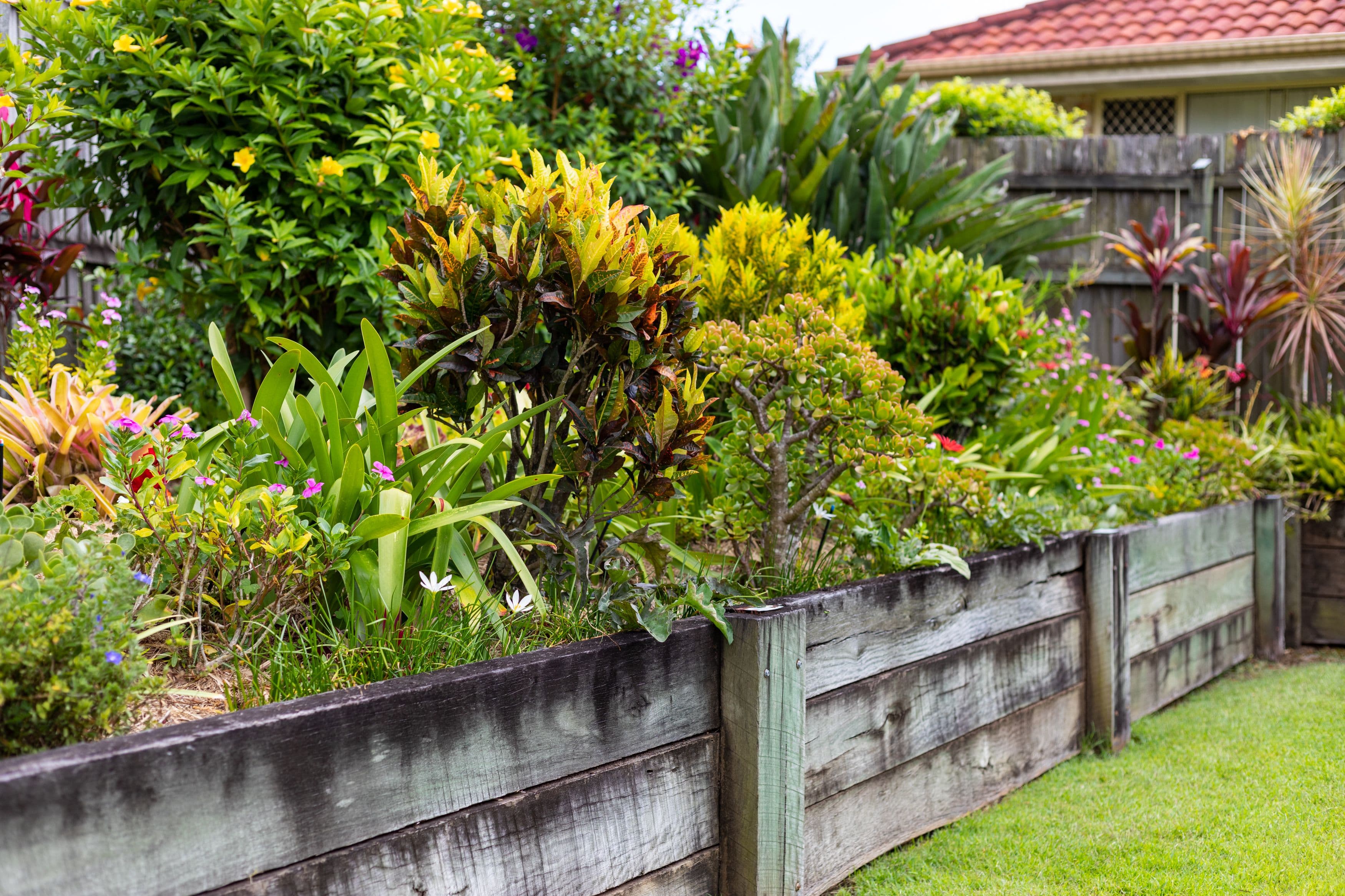 10 Sycamore Court, Warner QLD 4500, Warner - Thumbnail 3