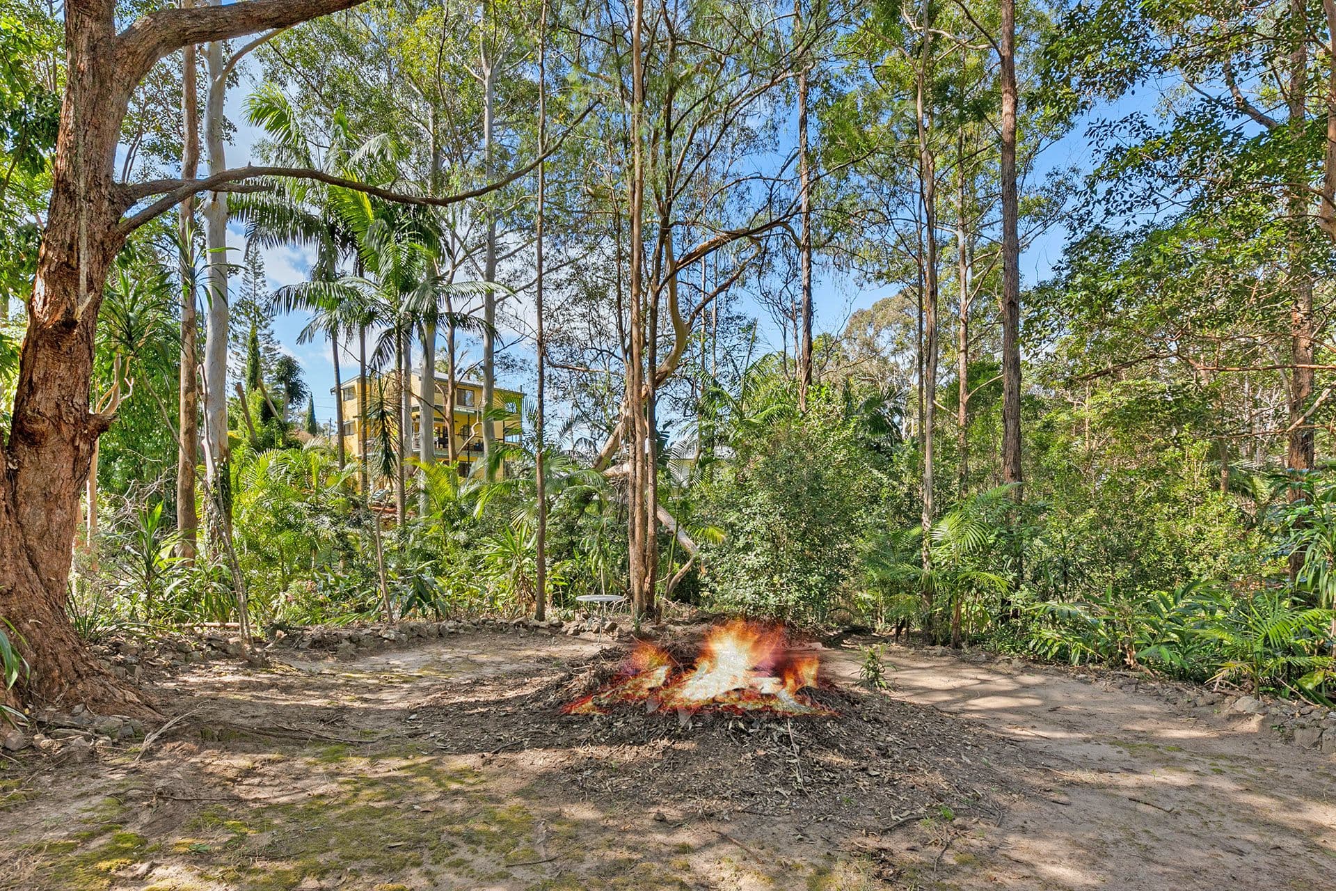 19 Saguaro Court, Tamborine Mountain QLD 4272, Tamborine Mountain - Thumbnail 7