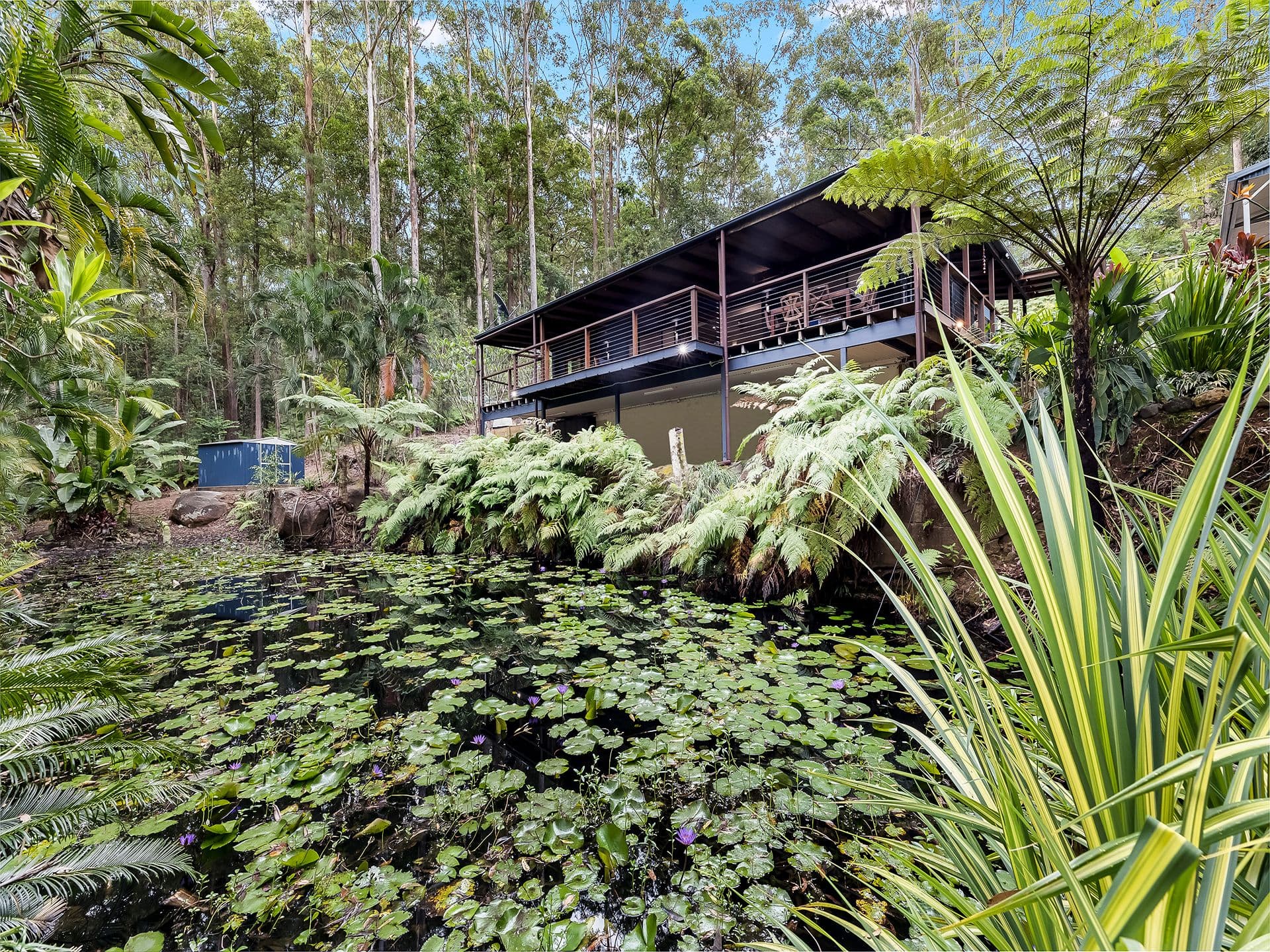 286 Ilkley Road, Ilkley QLD 4554, Ilkley - Thumbnail 3