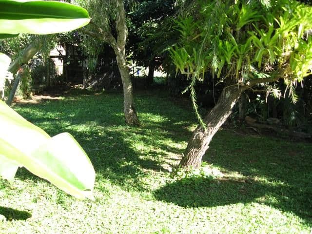 6 Avon Court, Pacific Pines, QLD, 4211, Pacific Pines - Thumbnail 8