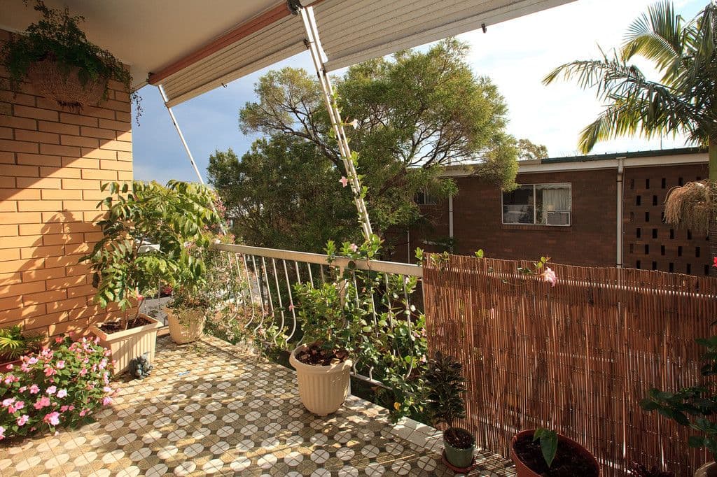 48 Rialto Street, COORPAROO QLD 4151, Coorparoo - Thumbnail 3