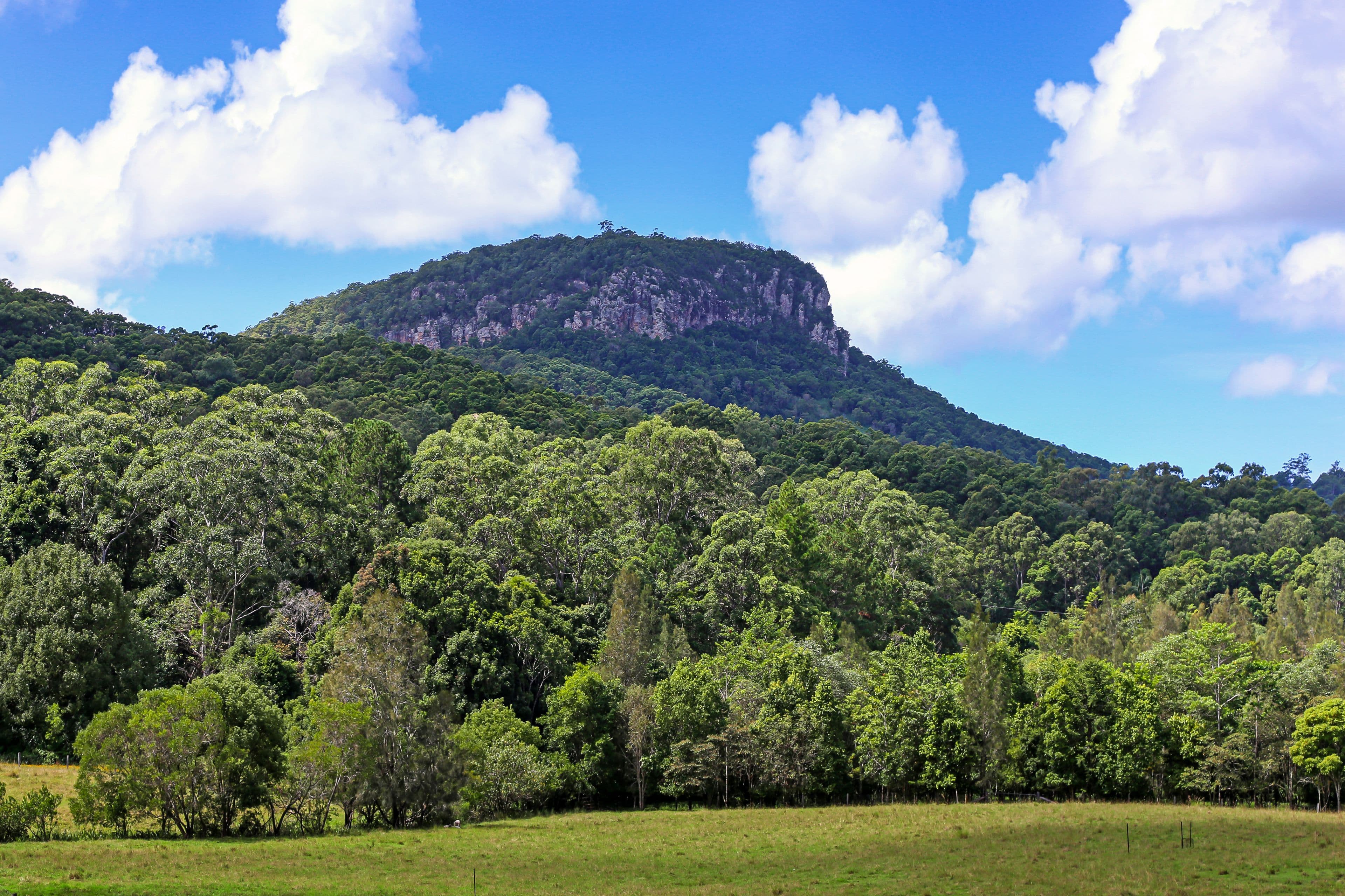 186 Collins Road, Ninderry QLD 4561, Ninderry - Thumbnail 8
