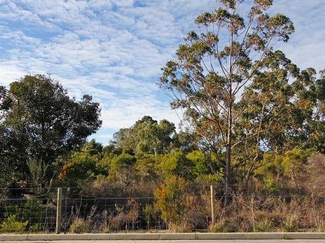 10 Middle Parkway, CANNING VALE WA 6155, Canning Vale - Thumbnail 8