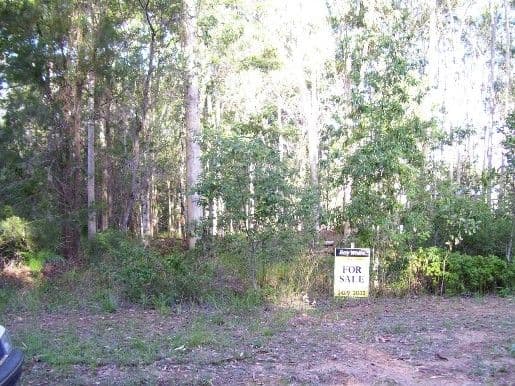 14 Doverton, RUSSELL ISLAND QLD 4184, Russell Island - Thumbnail 2