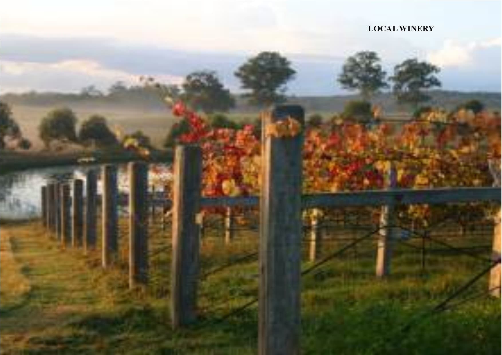 125 The Point Drive Drive, Port Macquarie, Port Macquarie - Thumbnail 5