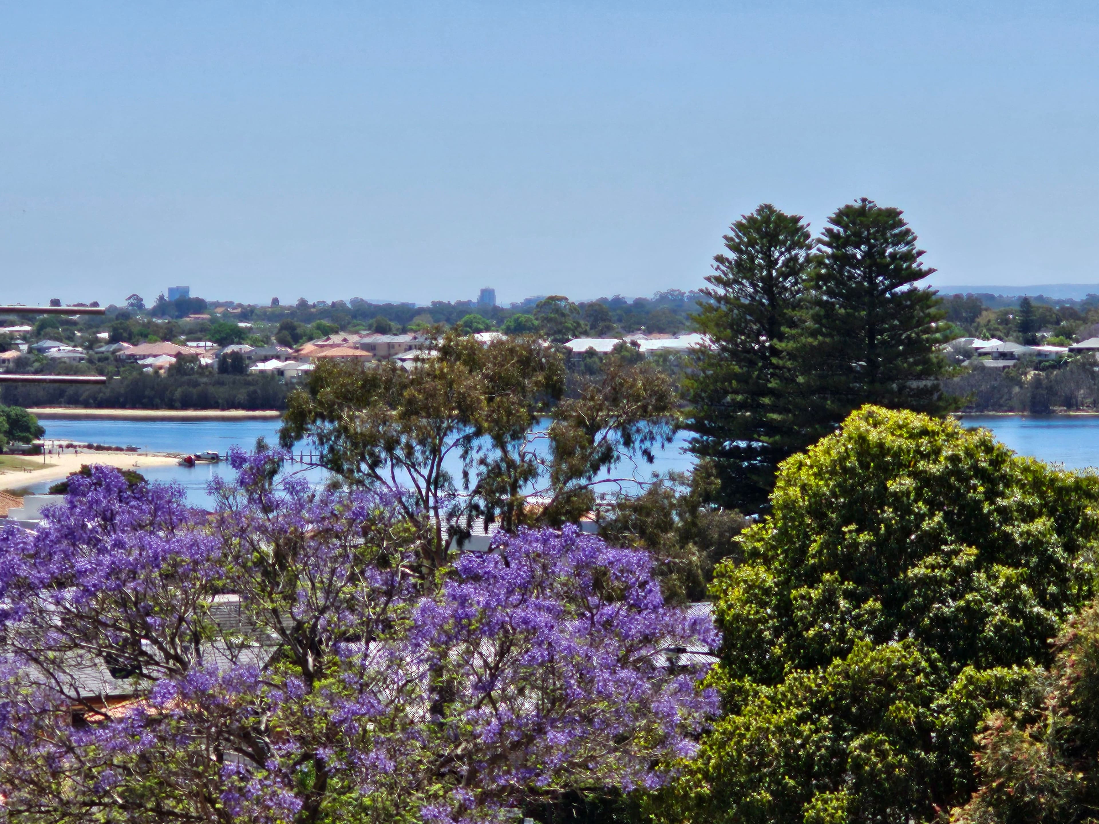 77 River View Terrace, Mount Pleasant WA 6153, Mount Pleasant - Thumbnail 6
