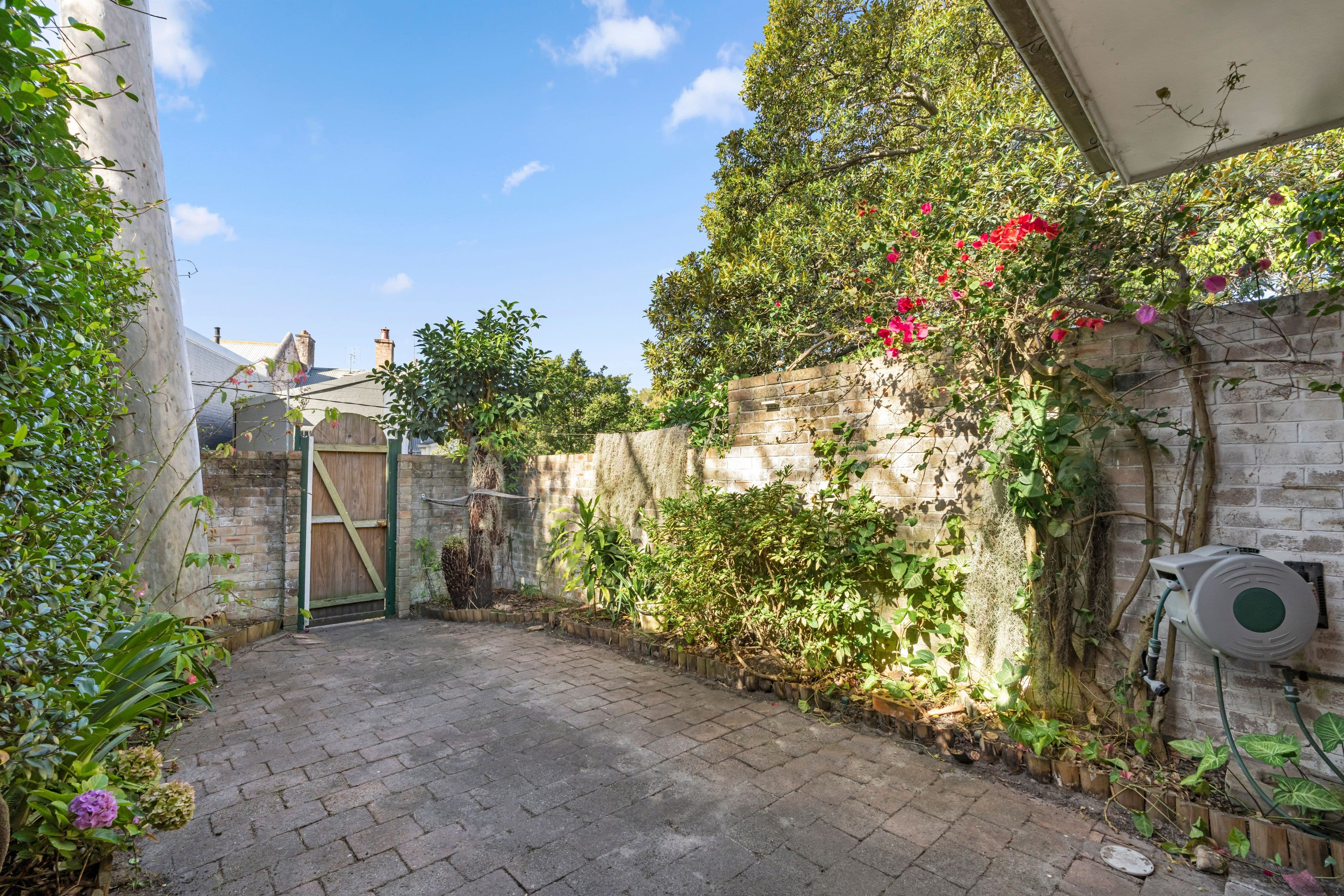 3 Glenview Street, Paddington NSW 2021, Paddington - Thumbnail 6