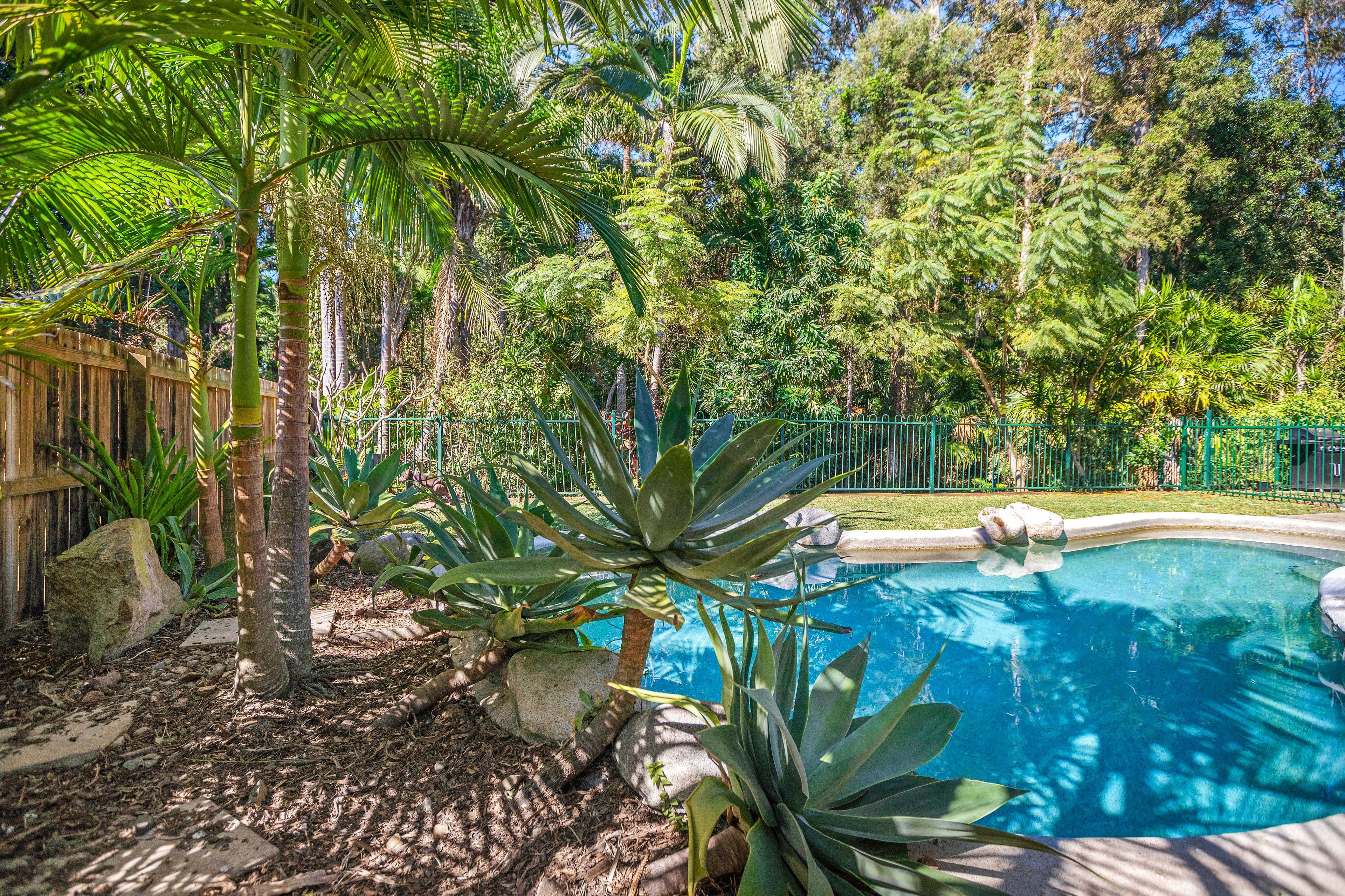 37 Khancoban Drive, Buderim QLD 4556, Buderim - Thumbnail 8