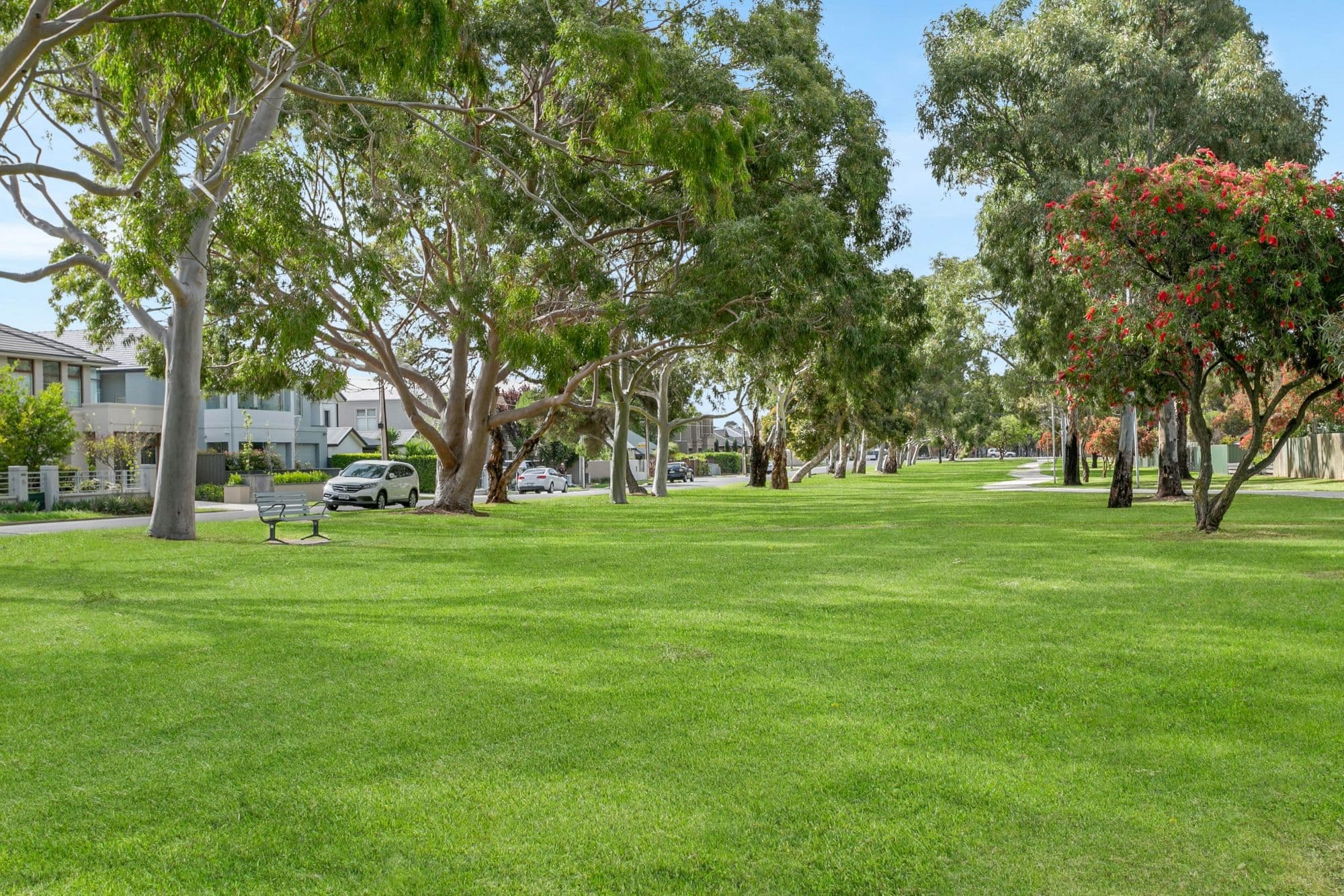 46A Chambers Street, Henley Beach SA 5022, Henley Beach - Thumbnail 3